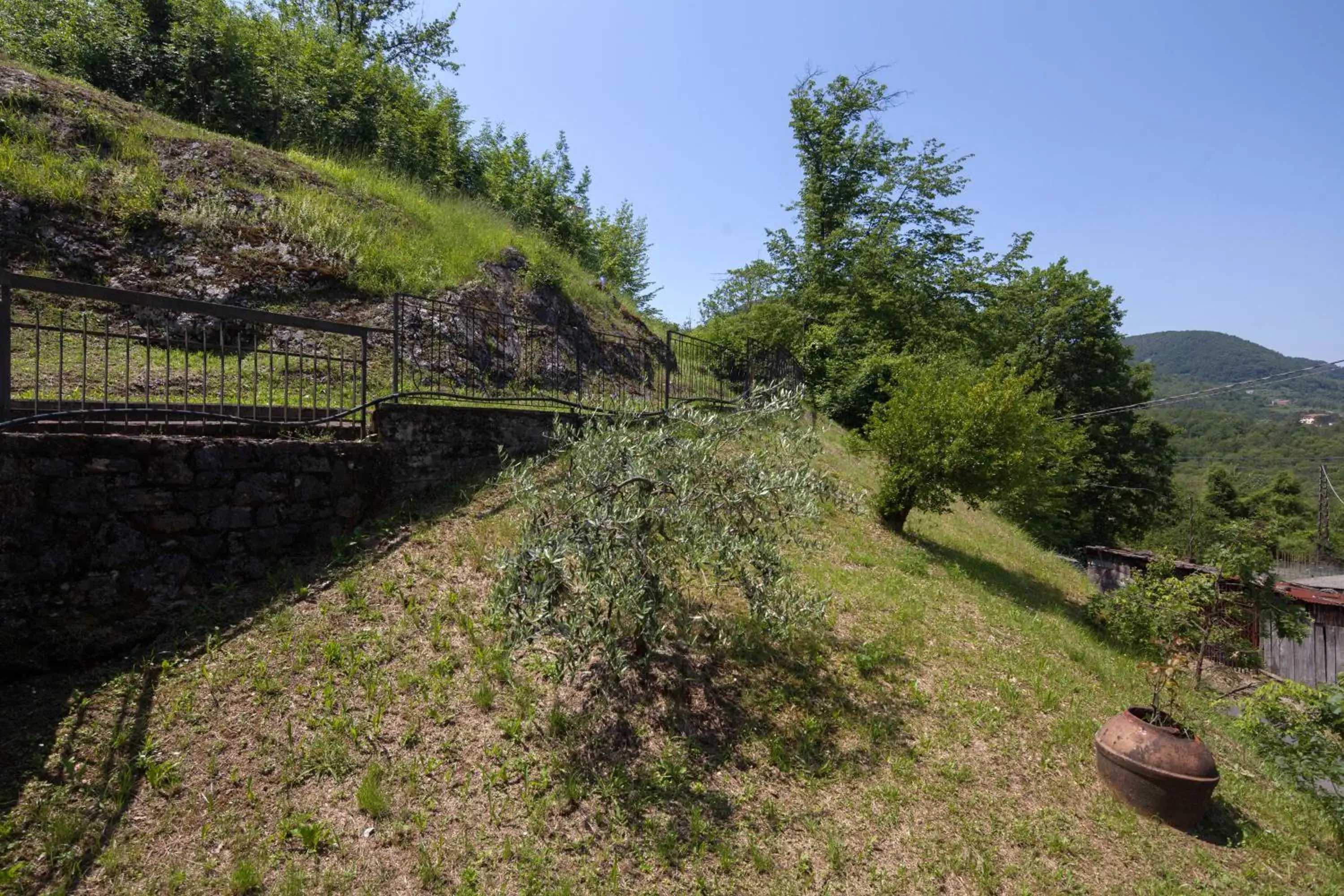 Natural landscape, Garden in Hotel Nella