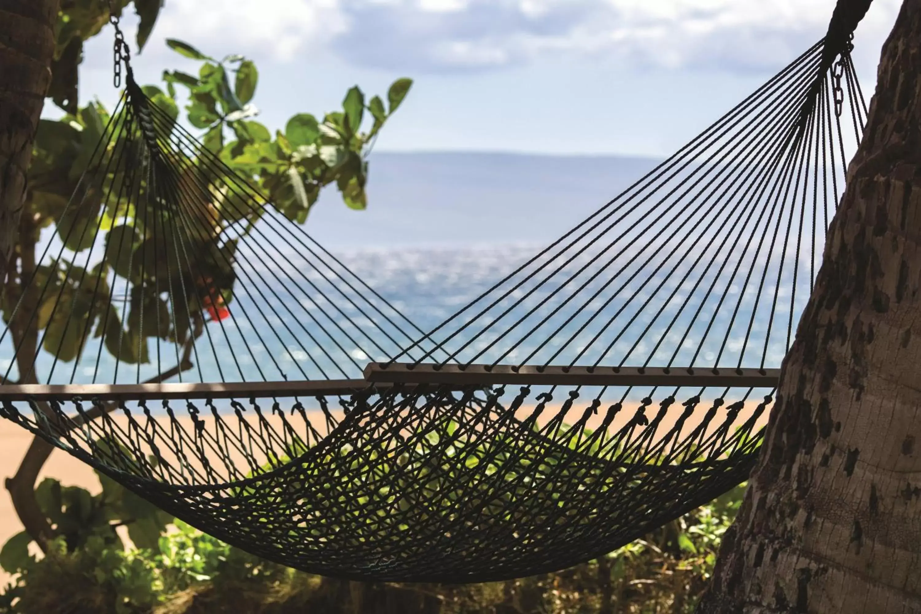 Area and facilities in Marriott's Maui Ocean Club - Molokai, Maui & Lanai Towers