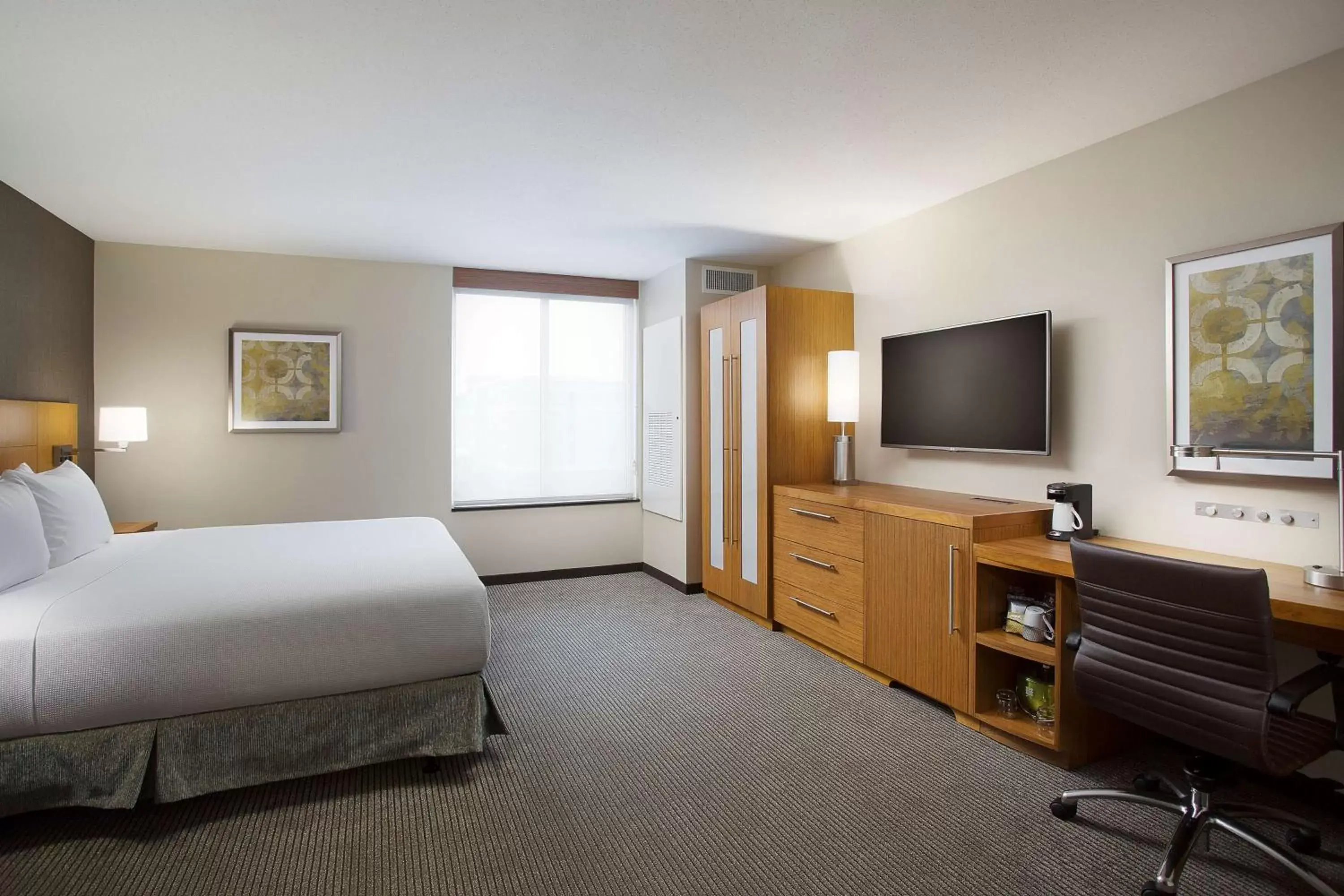 King Room with Sofa Bed and Roll-In Shower - Disability Access in Hyatt Place Chicago Midway Airport King Room with Sofa Bed and Roll-In Shower - Disability Access in Hyatt Place Chicago Midway Airport