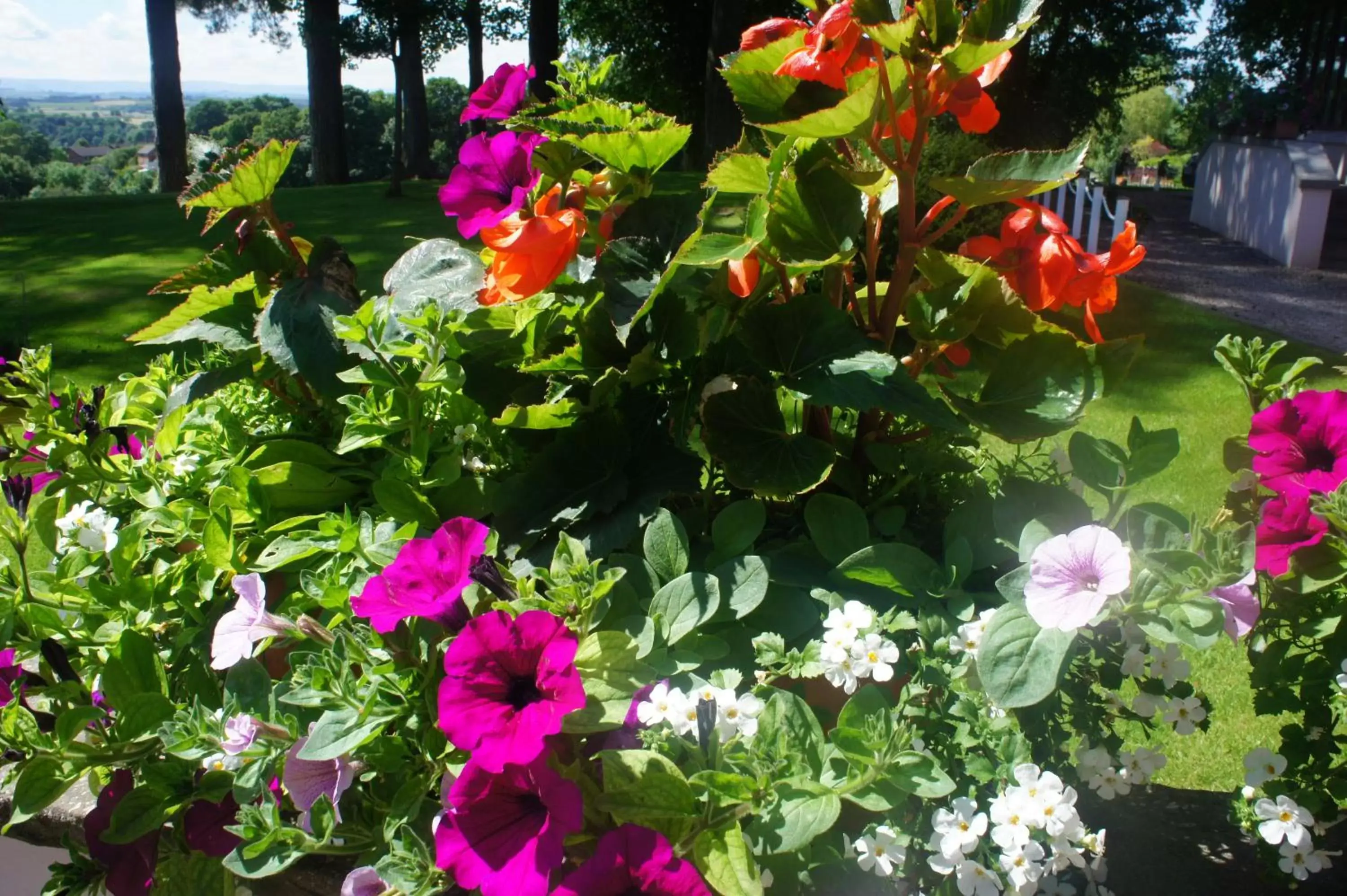 Garden view, Garden in Appleby Manor Hotel & Garden Spa