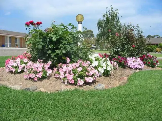 Spring, Garden in Bega Village Motor Inn