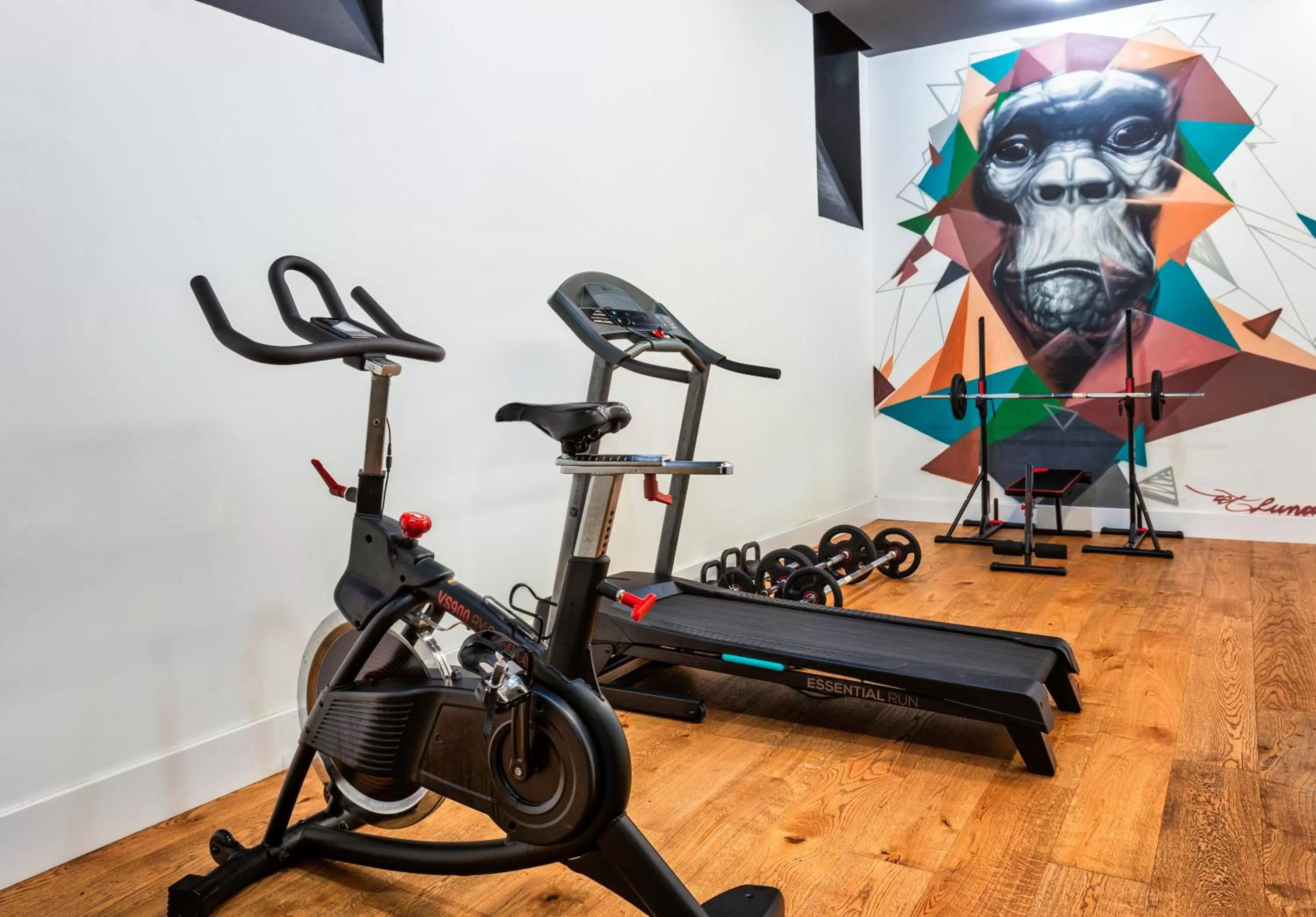 Fitness centre/facilities in One Shot Tabakalera House