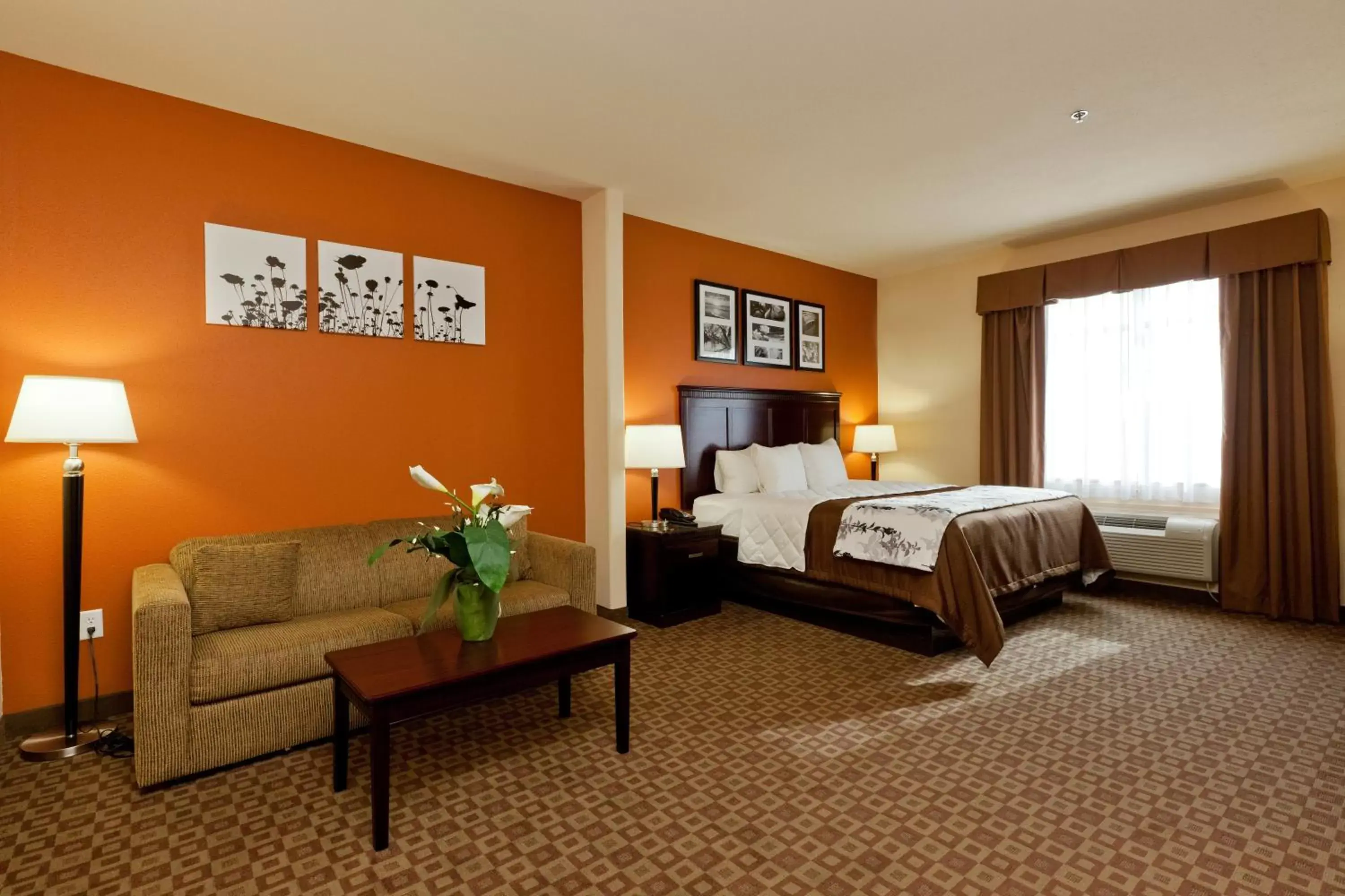 King Suite in Sleep Inn & Suites Highway 290/Northwest Freeway