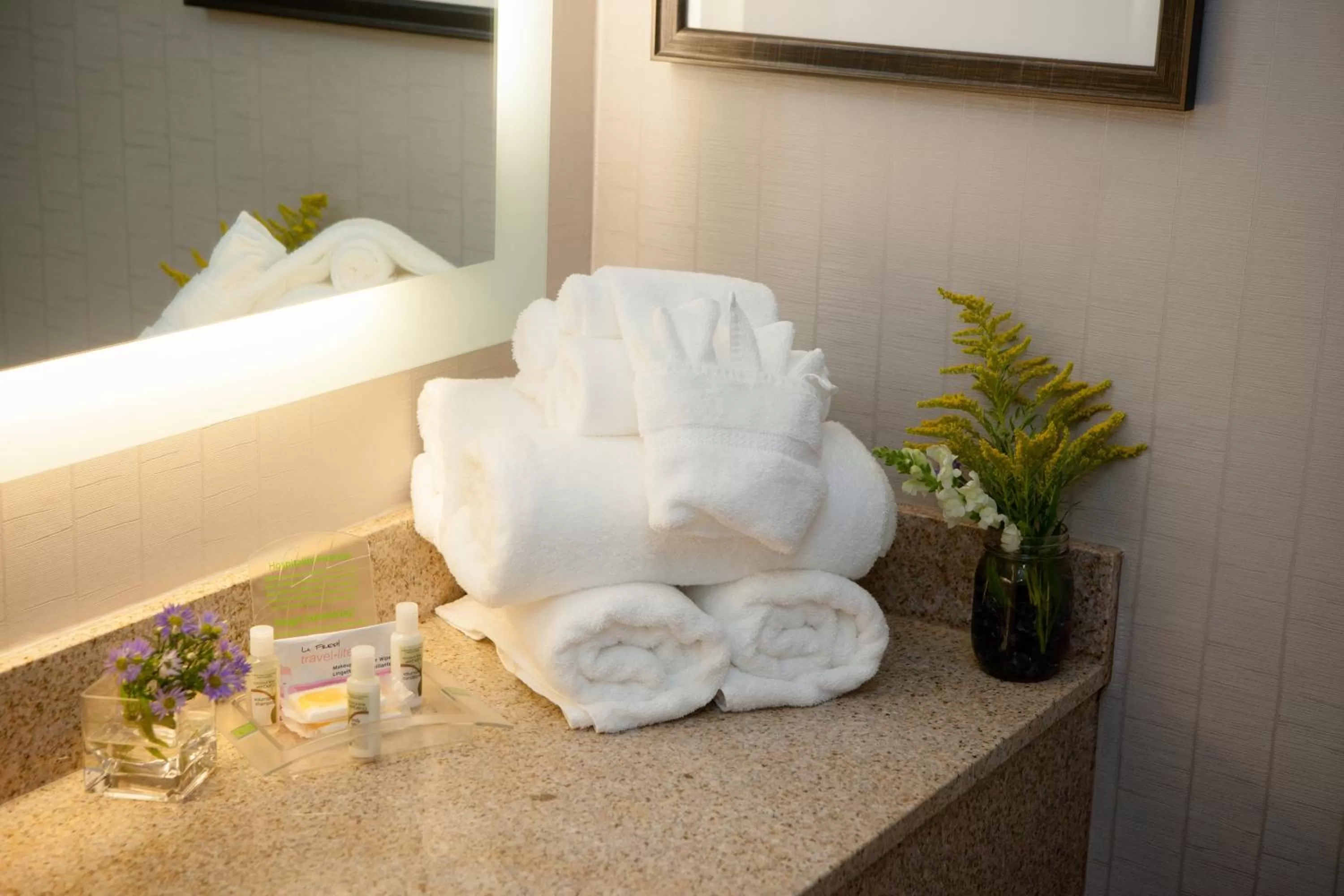 Bathroom in Holiday Inn Greenville by IHG