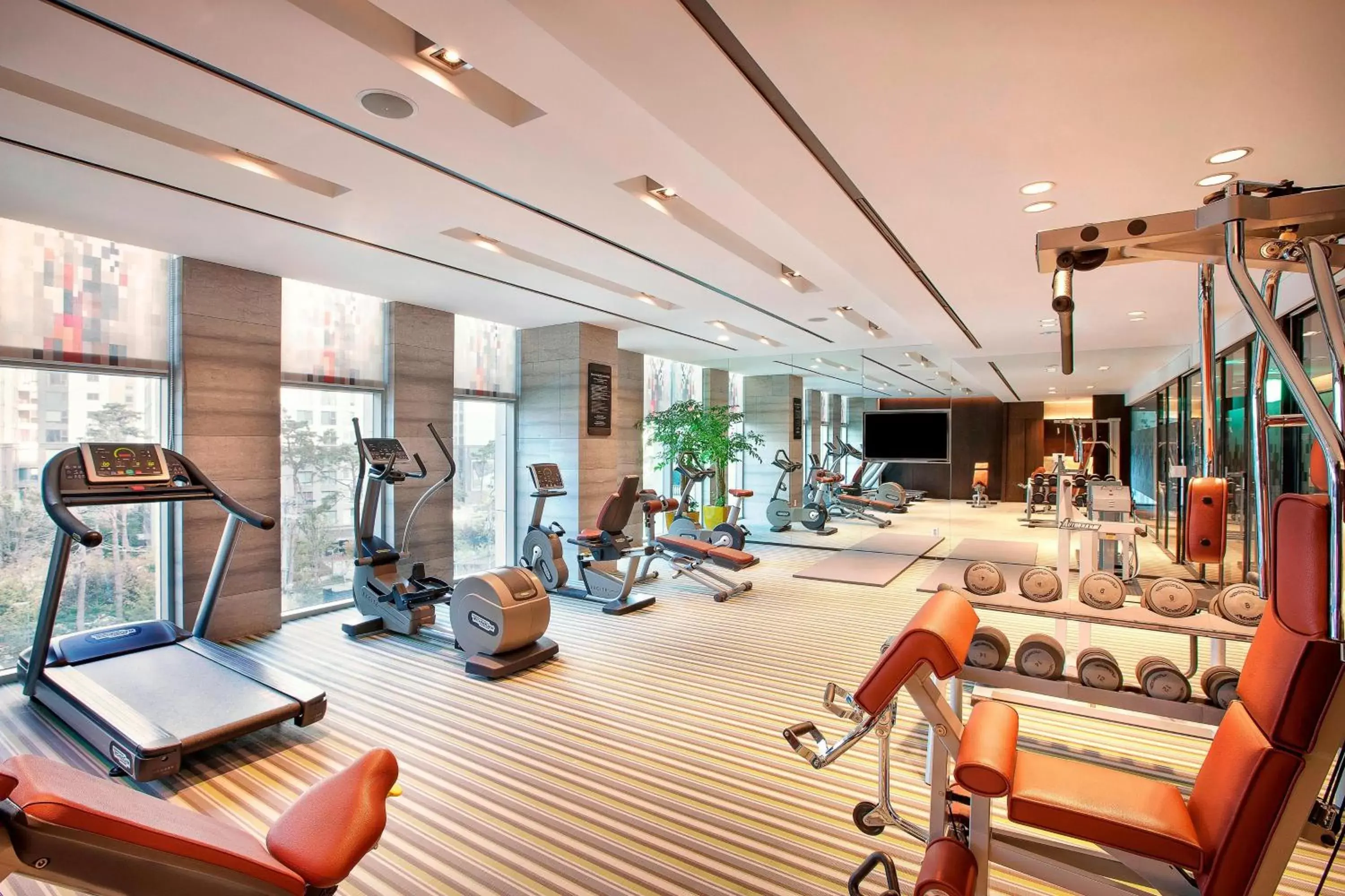 Fitness centre/facilities, Fitness Center/Facilities in Aloft Seoul Gangnam
