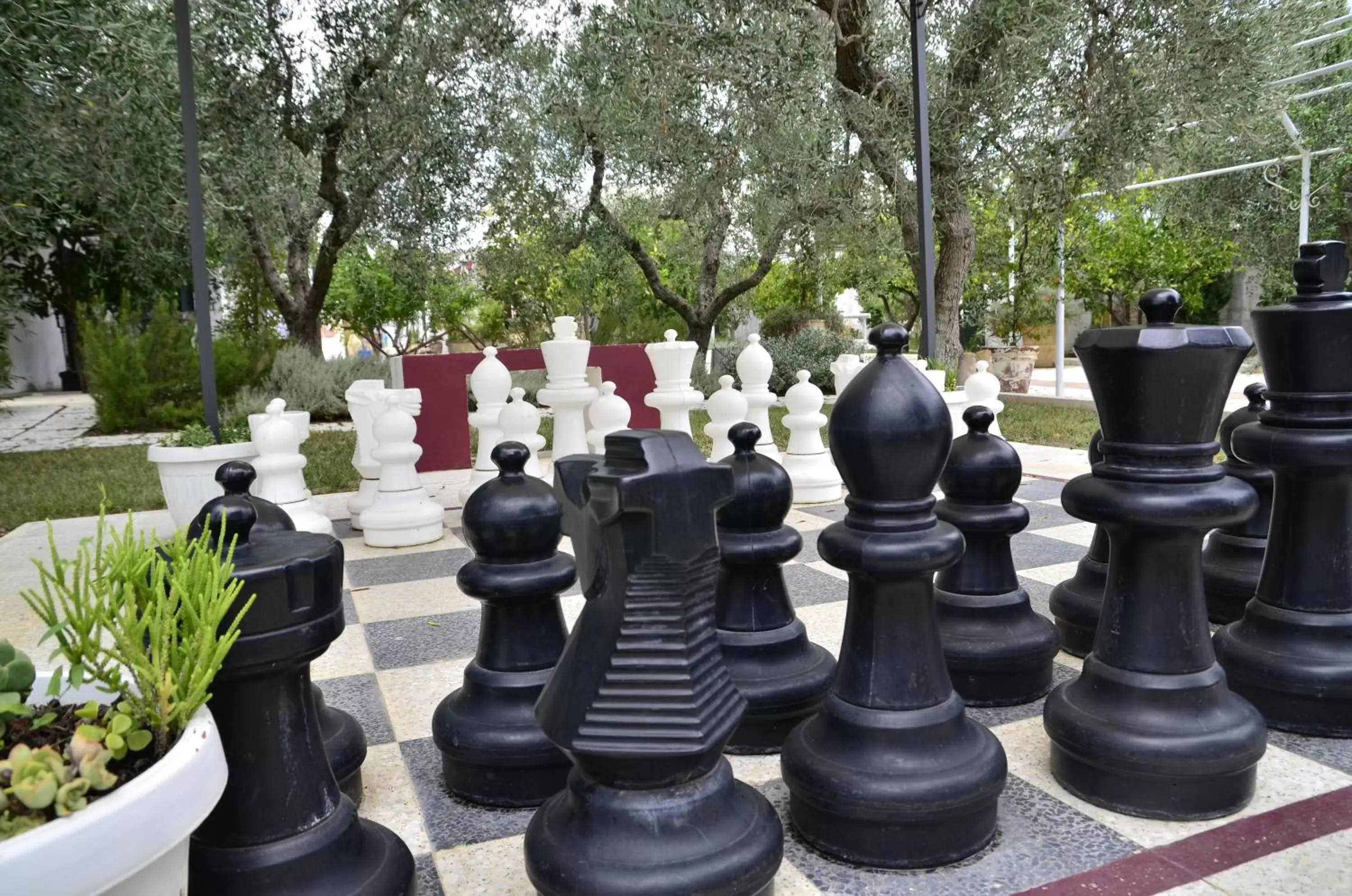 Garden, Other Activities in Hotel Giardino Giamperduto