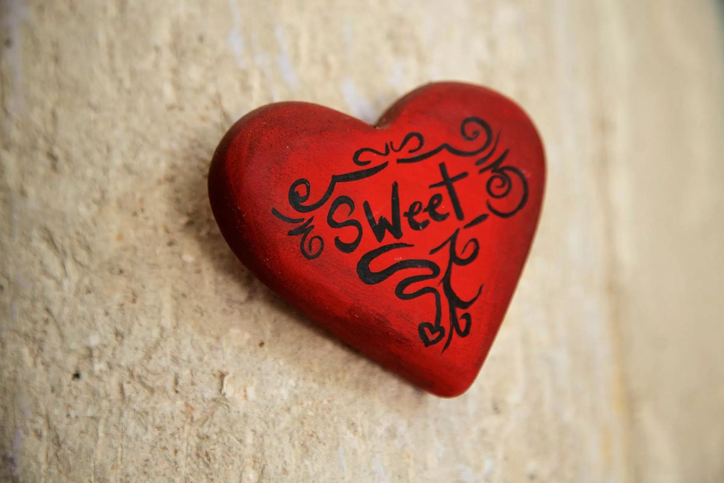 Logo/Certificate/Sign in Punta Piedra Beach Posada