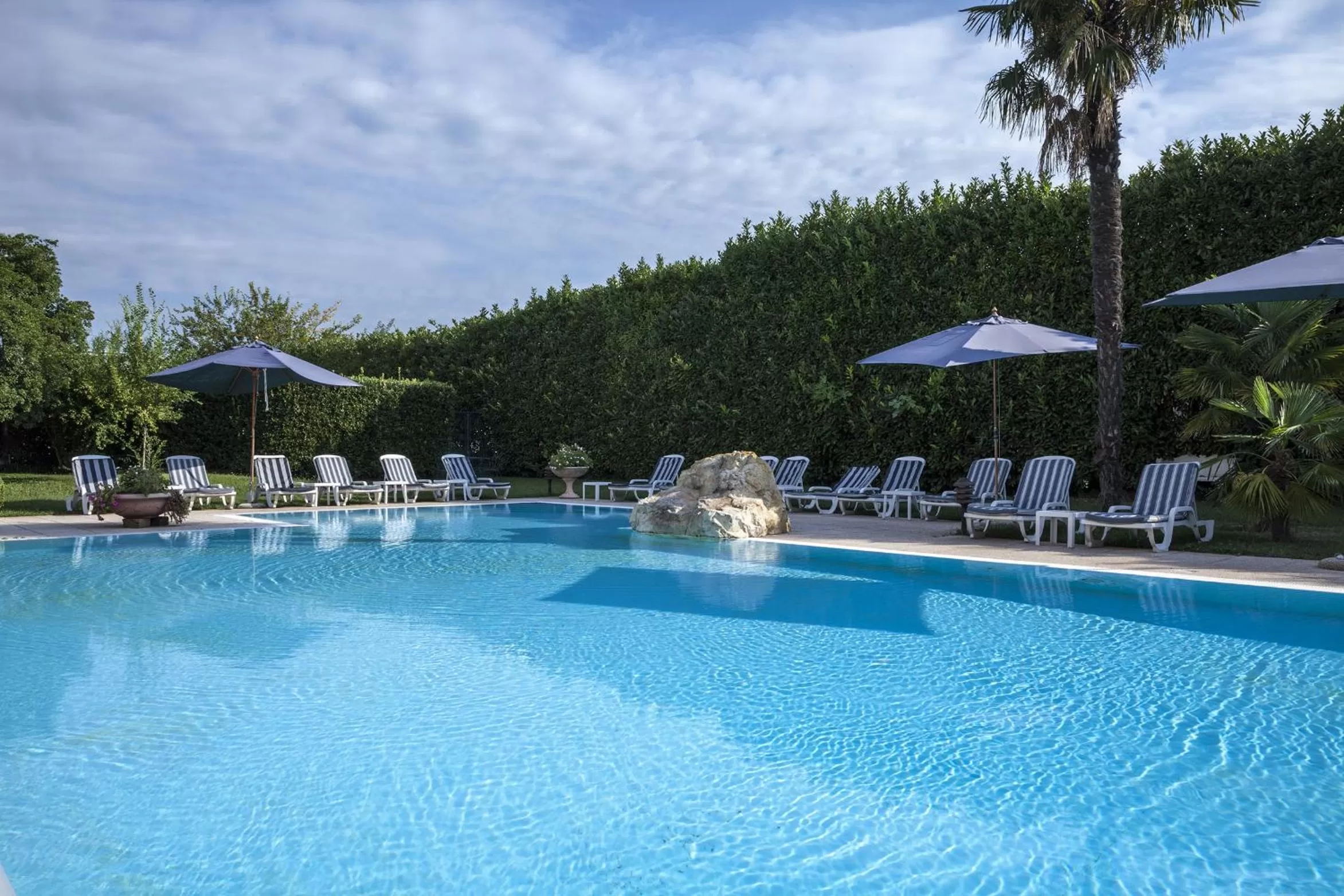 Garden in Hotel Saccardi & Spa - Adults Only
