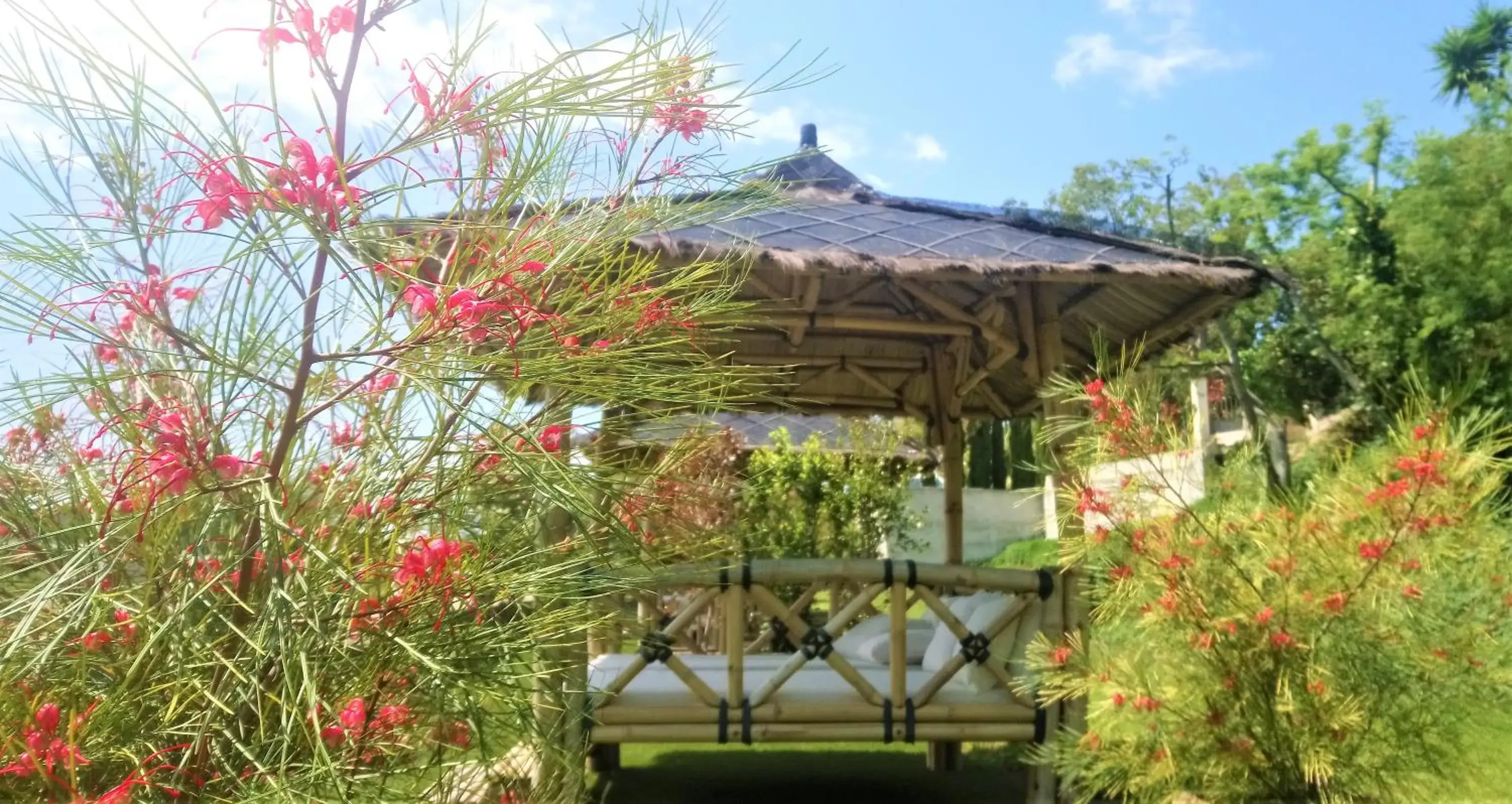 Garden in Hotel Les Jardins de Bormes