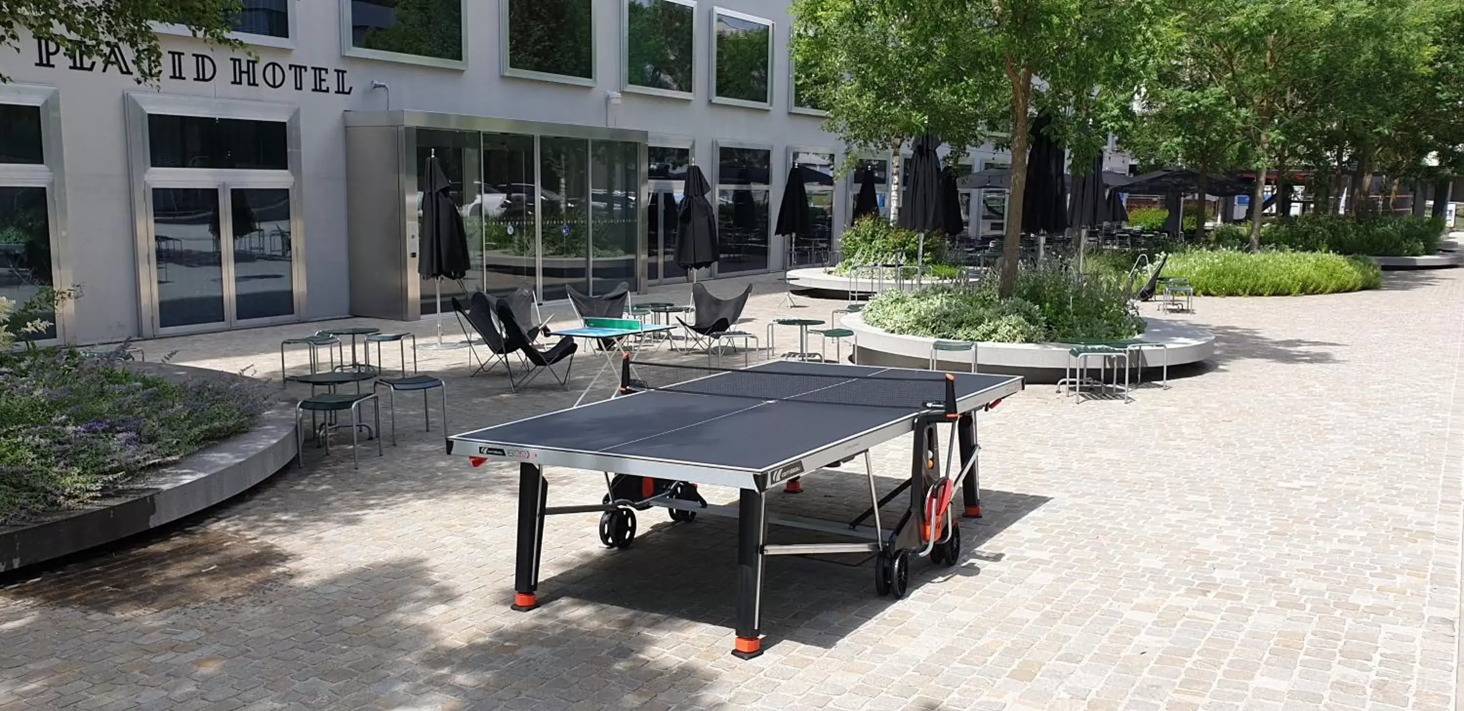 Table Tennis in Placid Hotel Design & Lifestyle Zurich