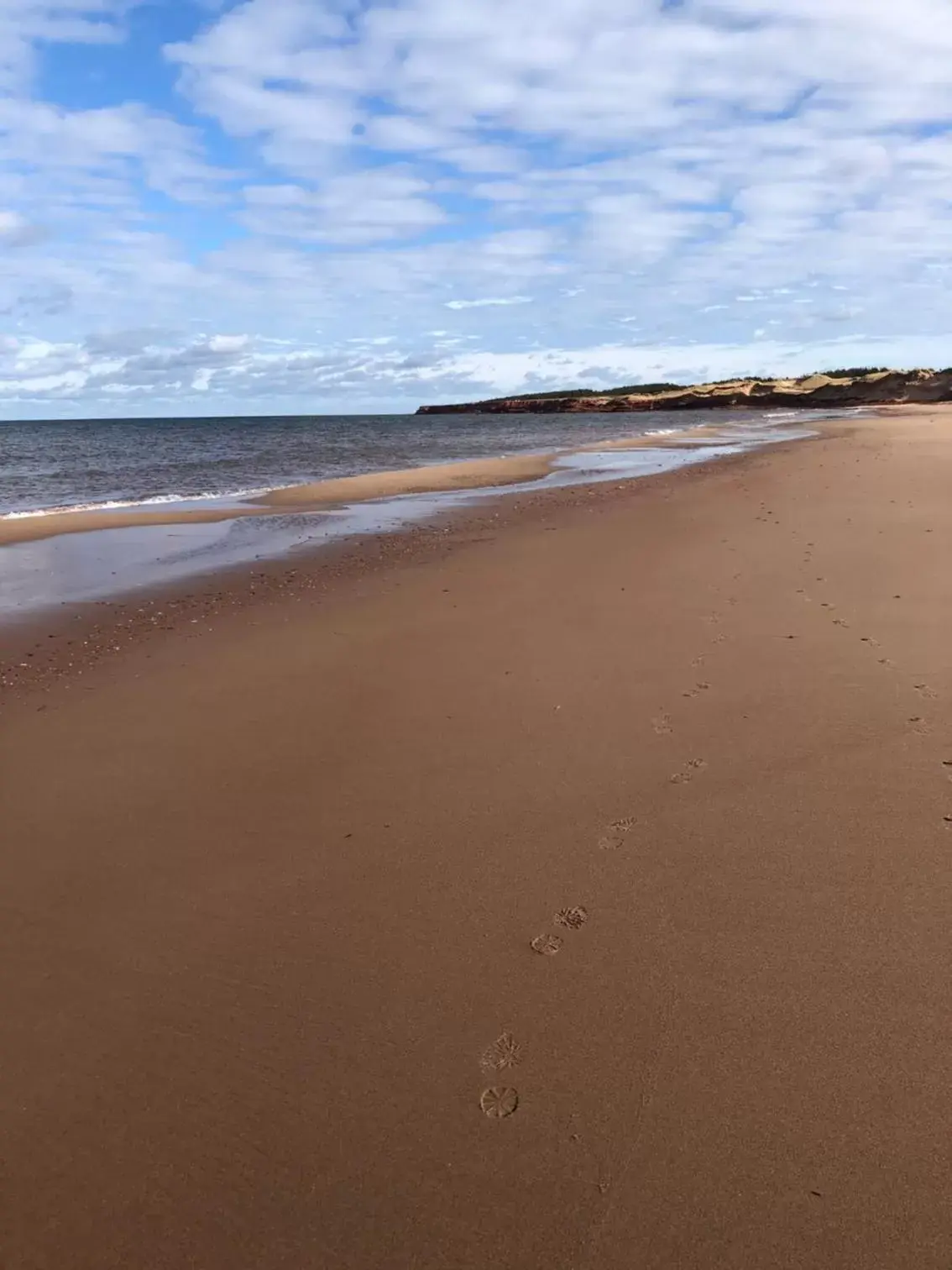 Beach in Baker Shore Bed and Breakfast