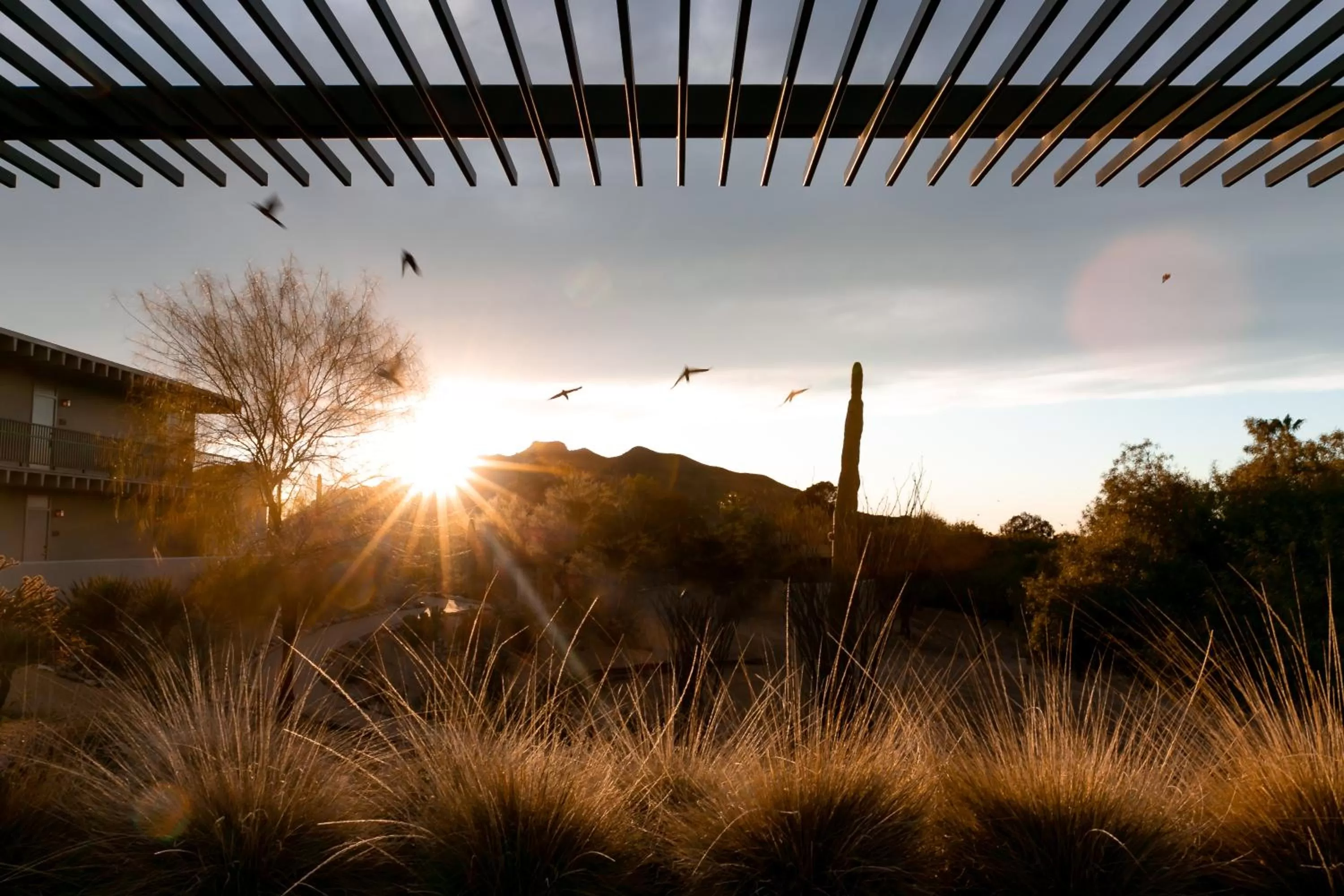 Natural landscape in CIVANA Wellness Resort & Spa