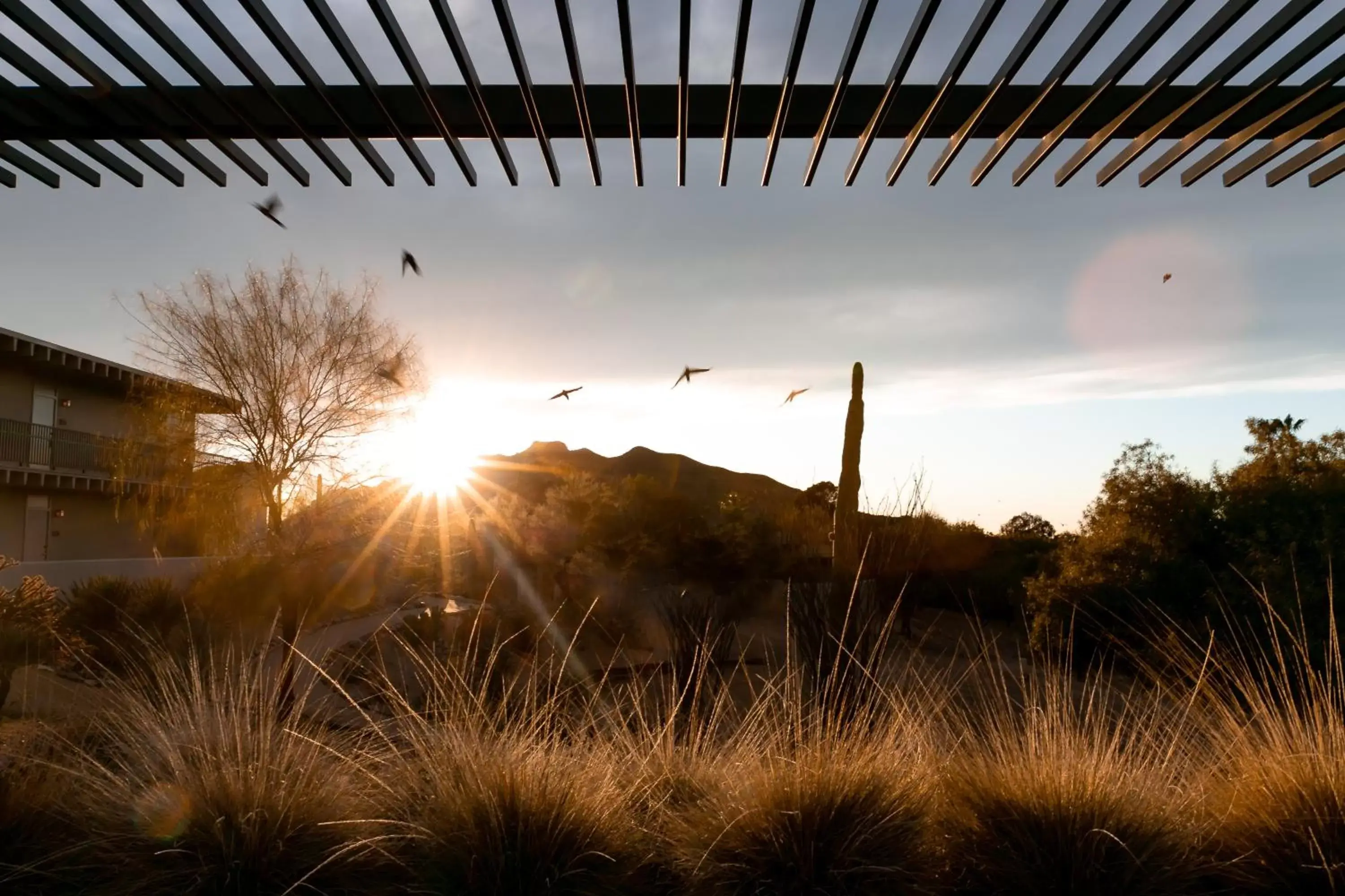 Natural landscape in CIVANA Wellness Resort & Spa Natural landscape in CIVANA Wellness Resort & Spa