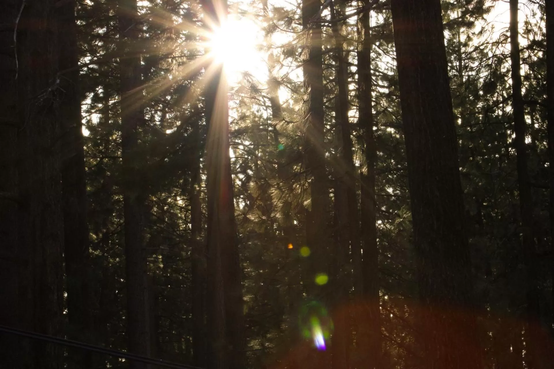 Day in The Alder Inn