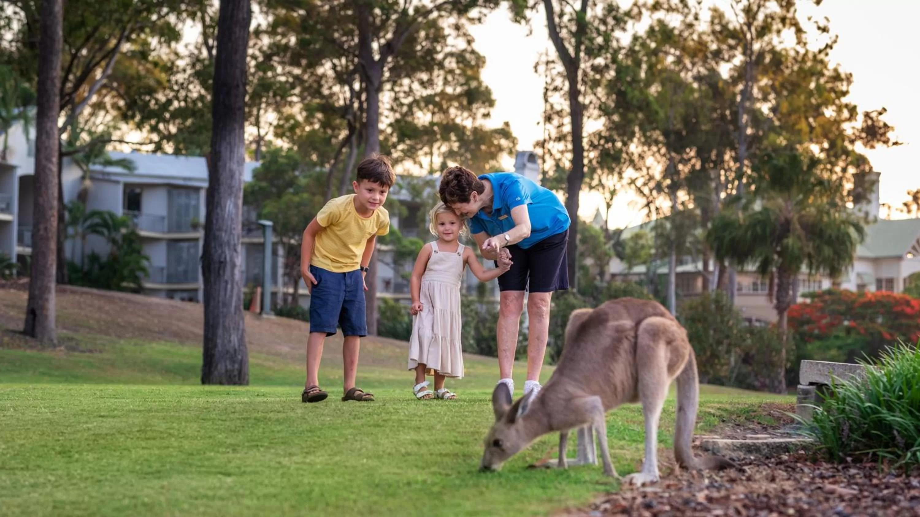 Area and facilities in InterContinental Sanctuary Cove Resort by IHG