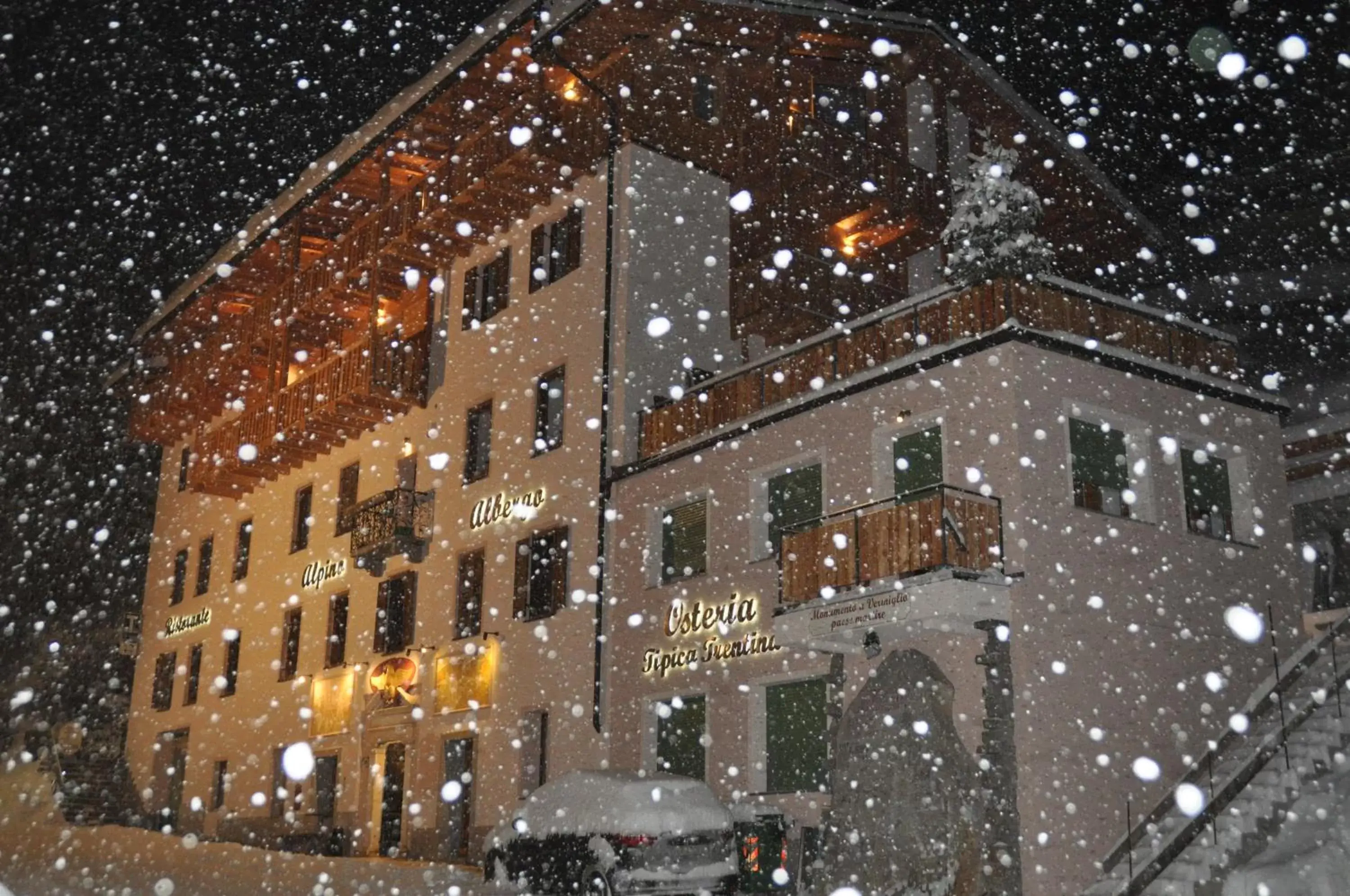 Facade/entrance, Winter in Albergo Alpino