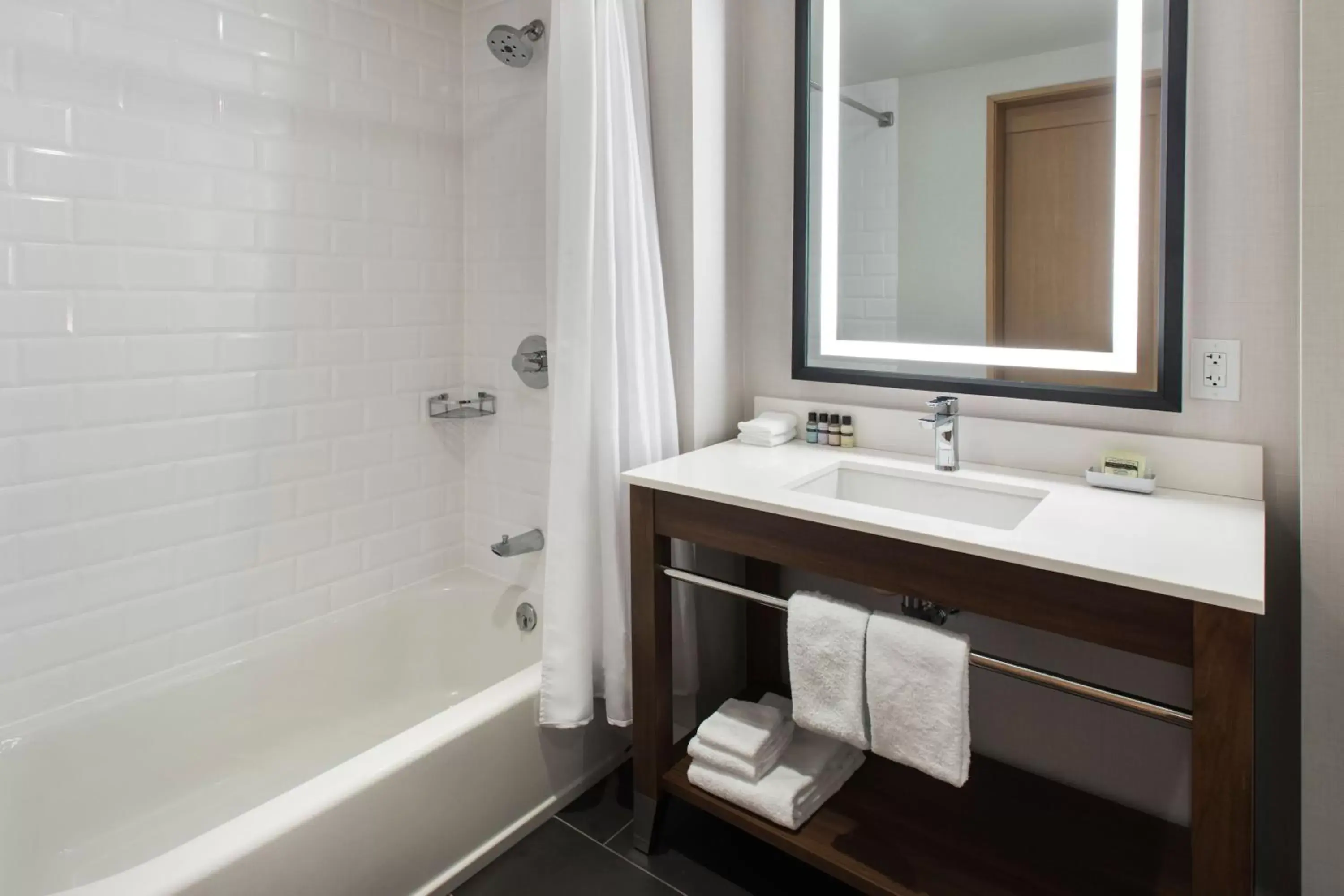 Bathroom in Four Points by Sheraton Albany