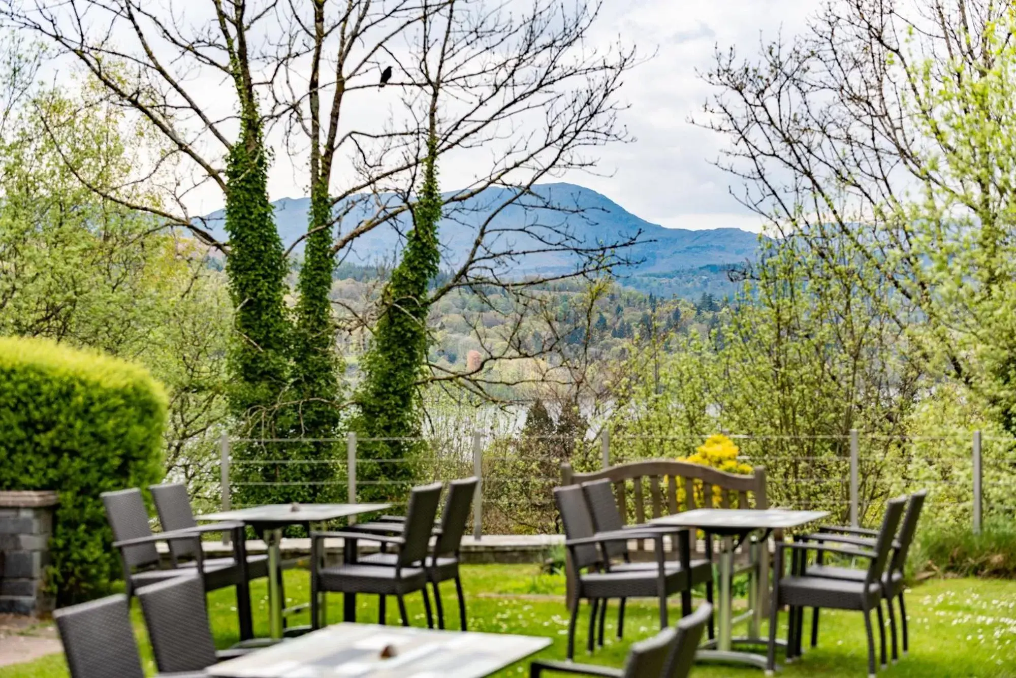 Dining area in Windermere Manor Hotel