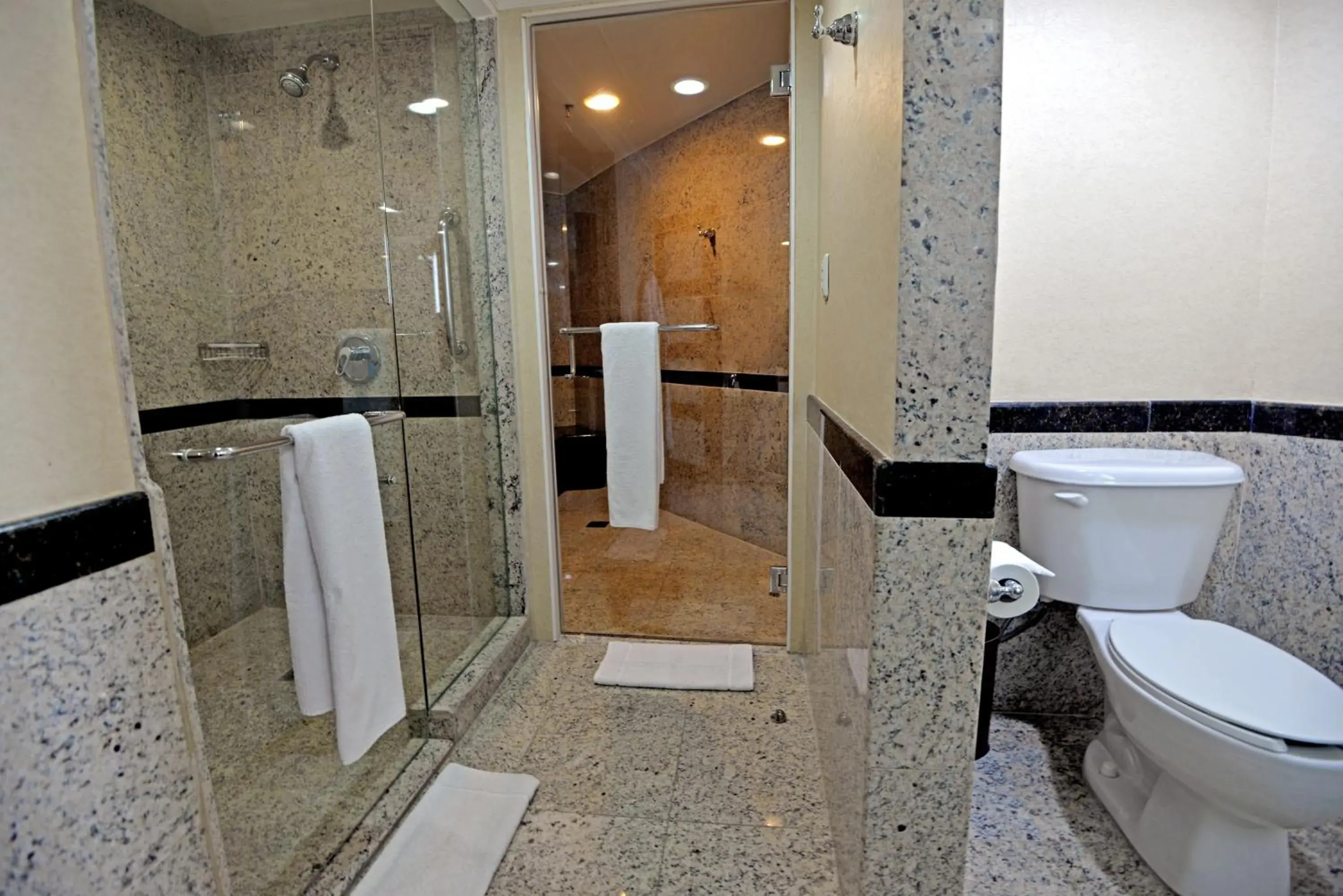 Shower, Bathroom in Torreon Marriott Hotel