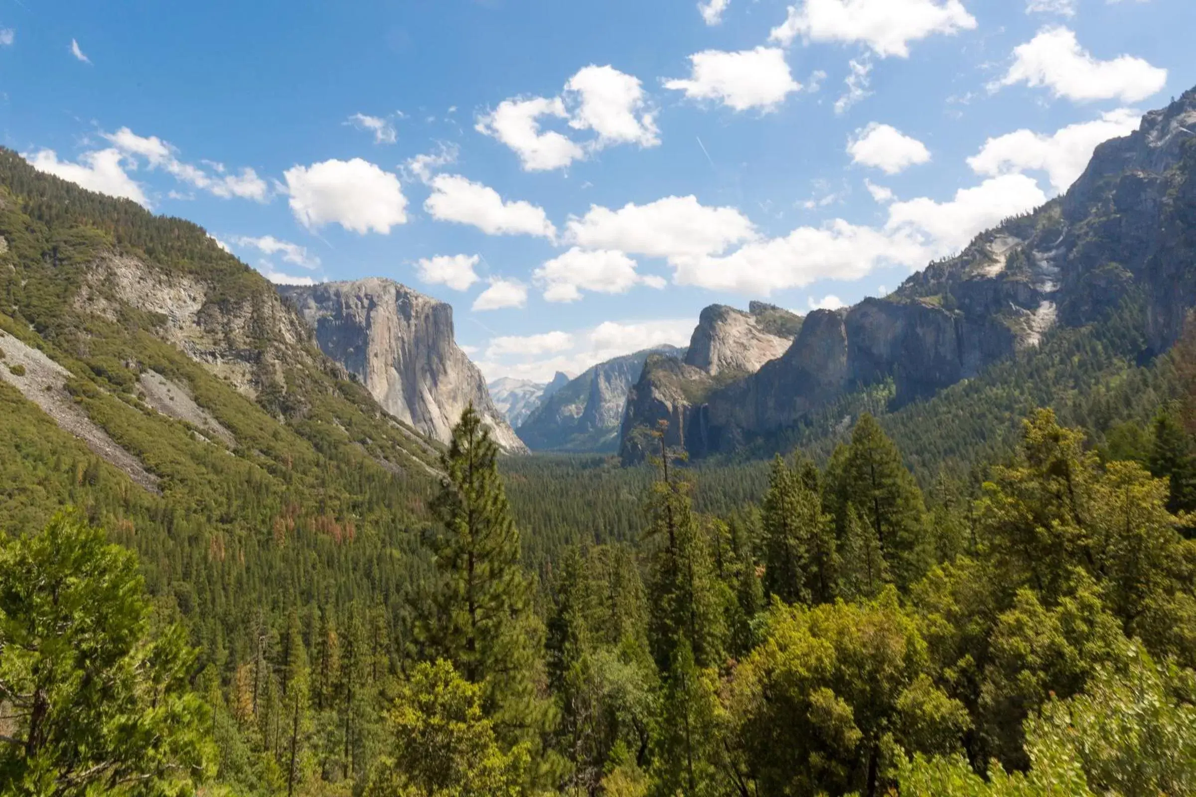 Natural Landscape in Rush Creek Lodge at Yosemite