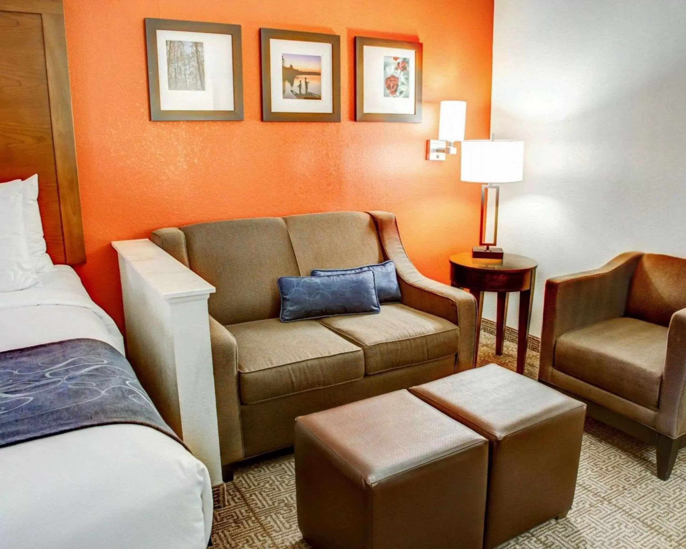 Photo of the whole room, Seating Area in Comfort Suites Tyler South