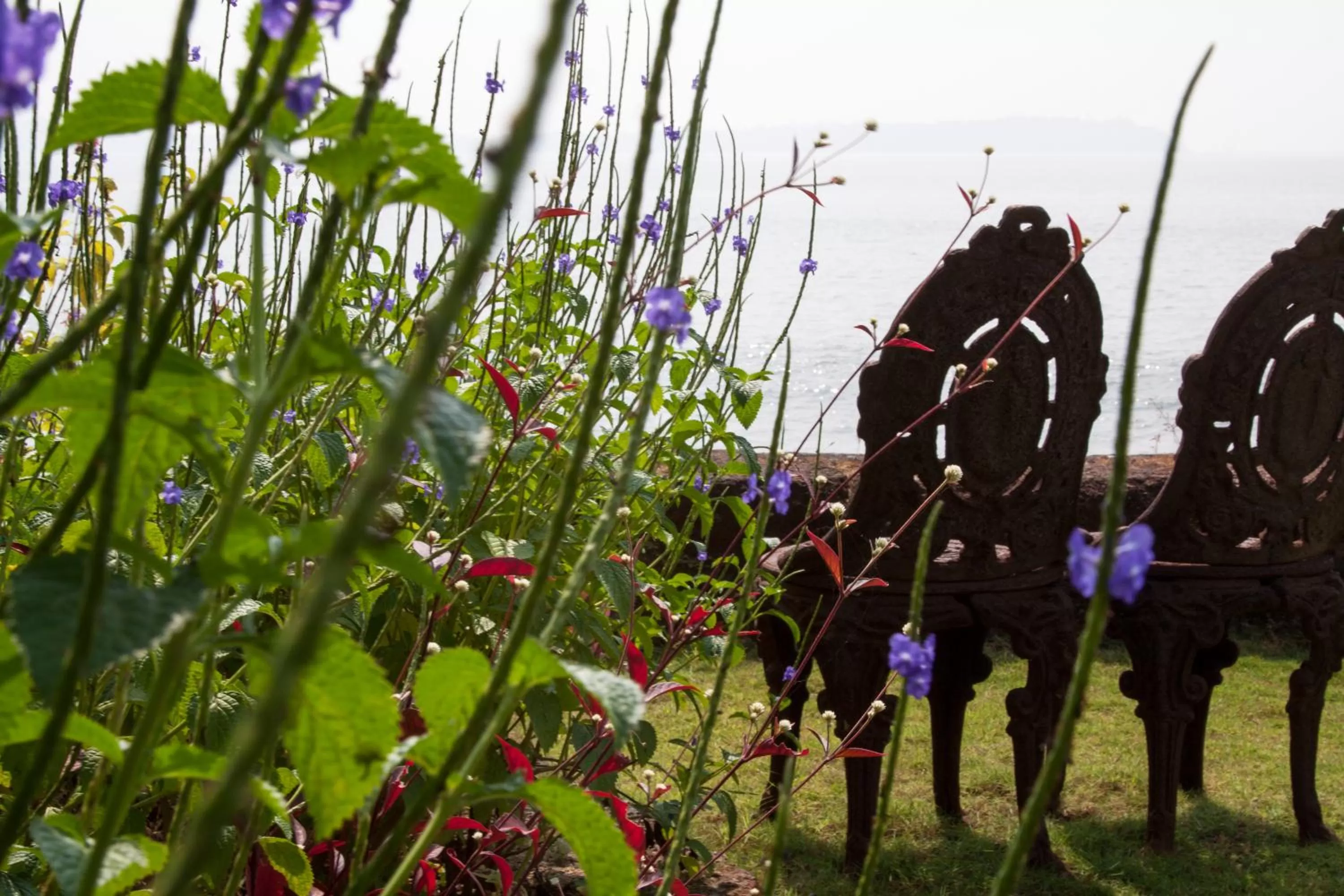 Garden view in Ahilya By The Sea