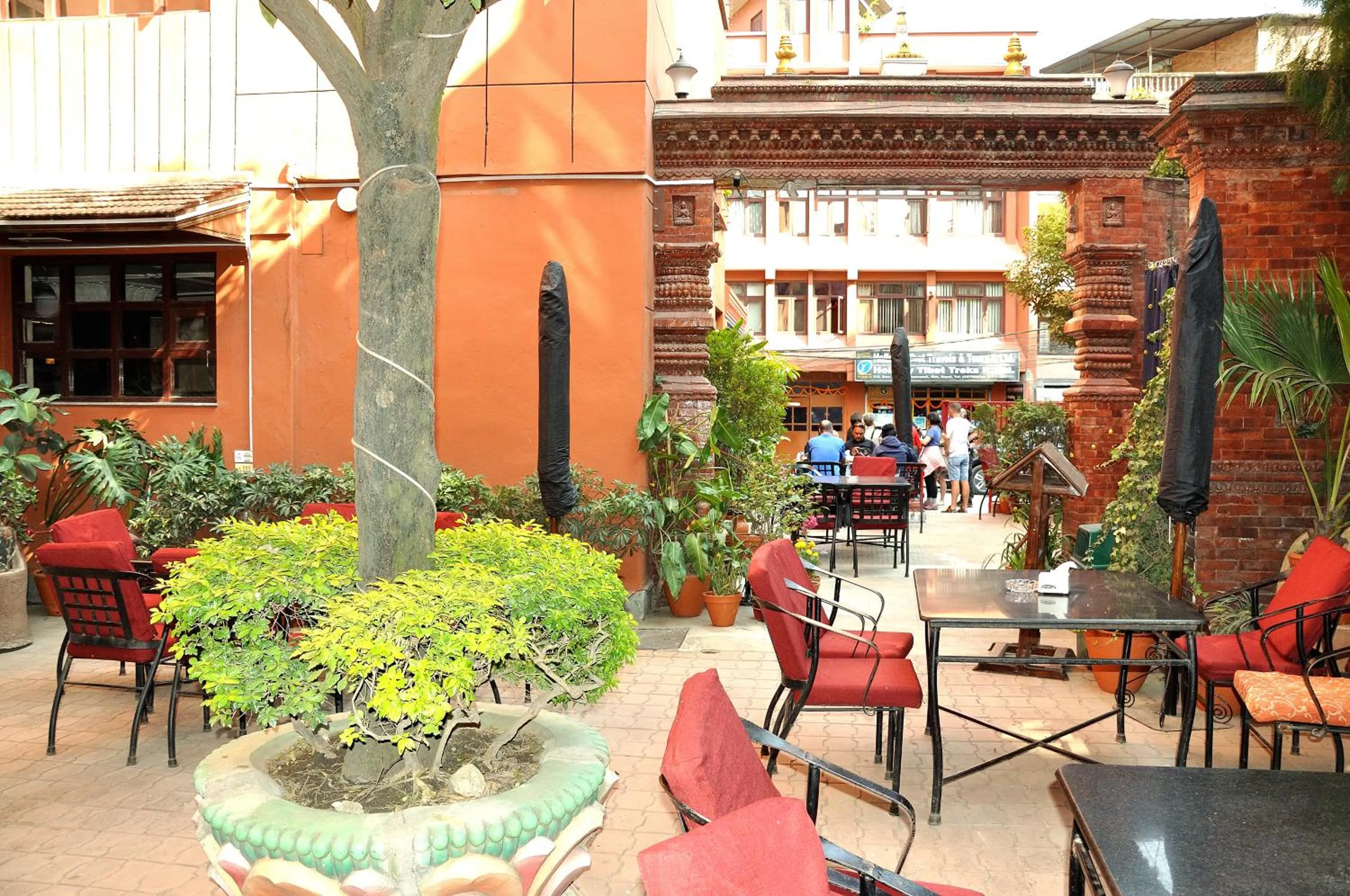 Garden in Tibet Guest House