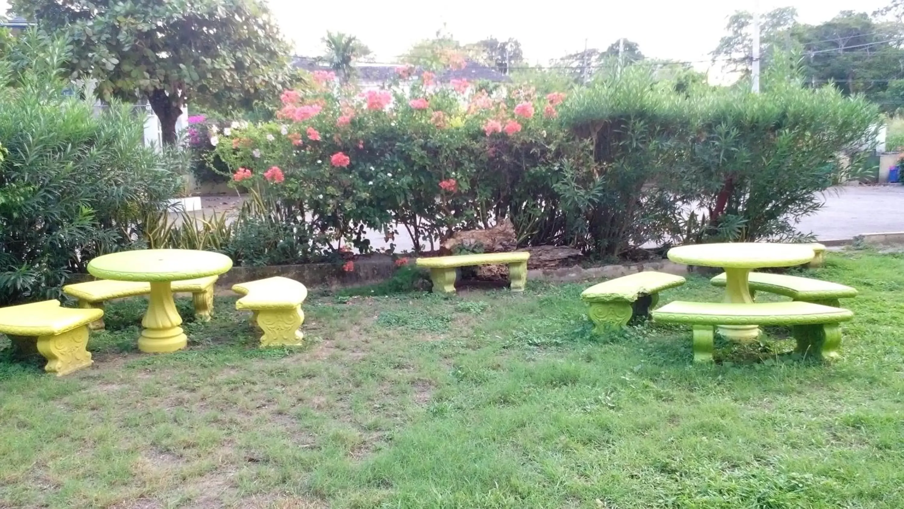 Garden in Pineapple Court Hotel