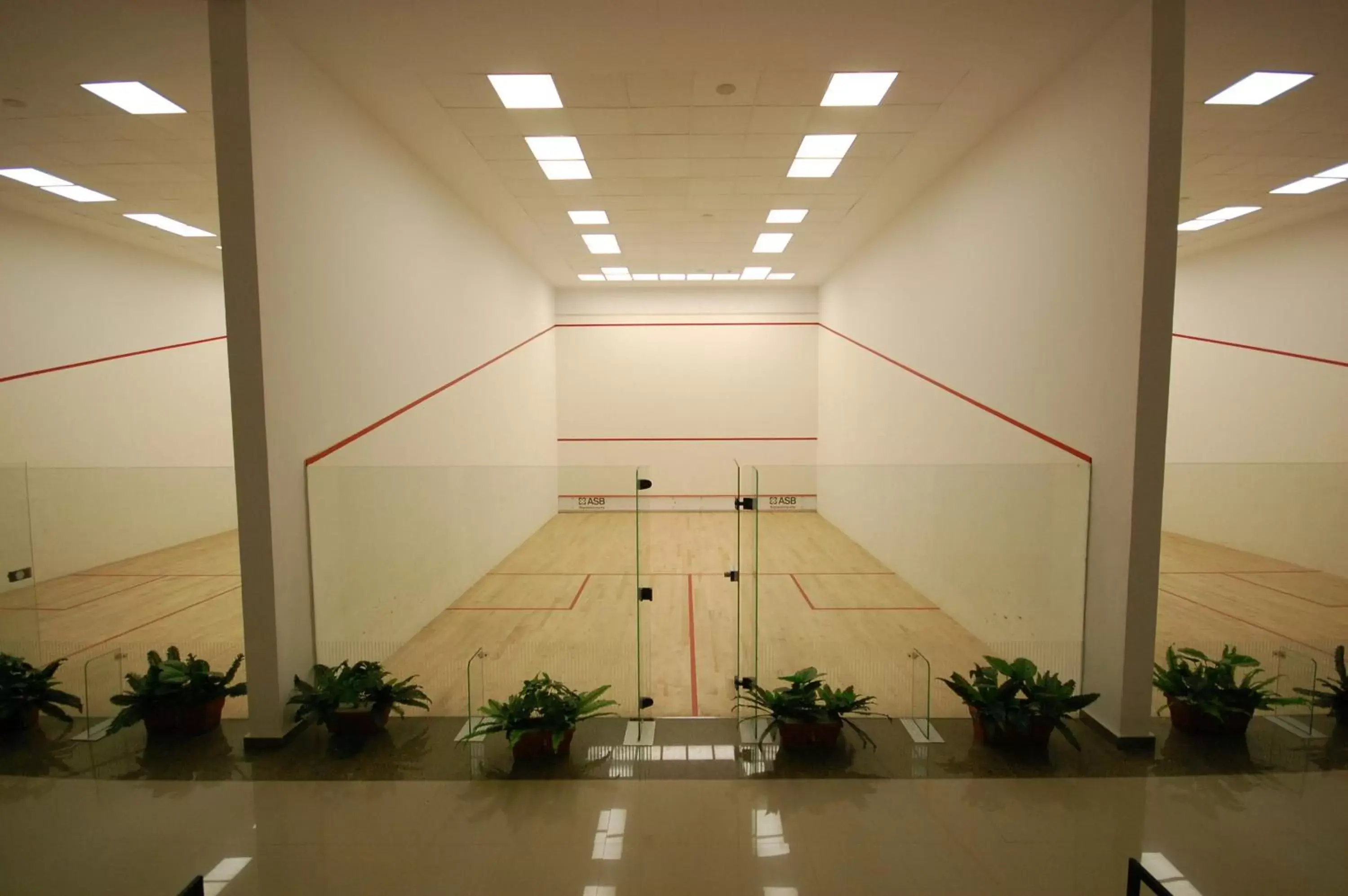 Squash in Jewel Sport City and Aqua Park