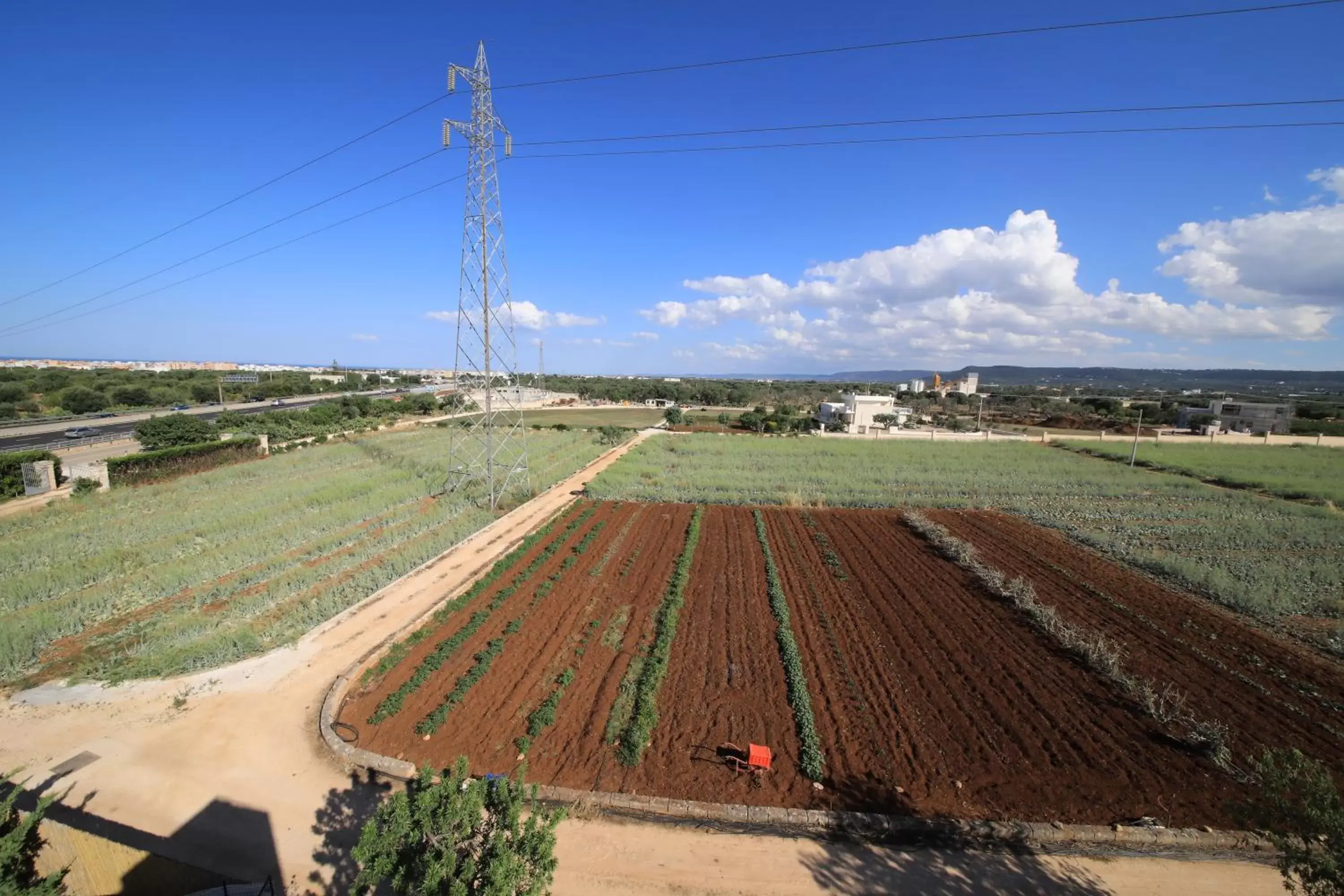 Bird's-eye View in Guardian's House