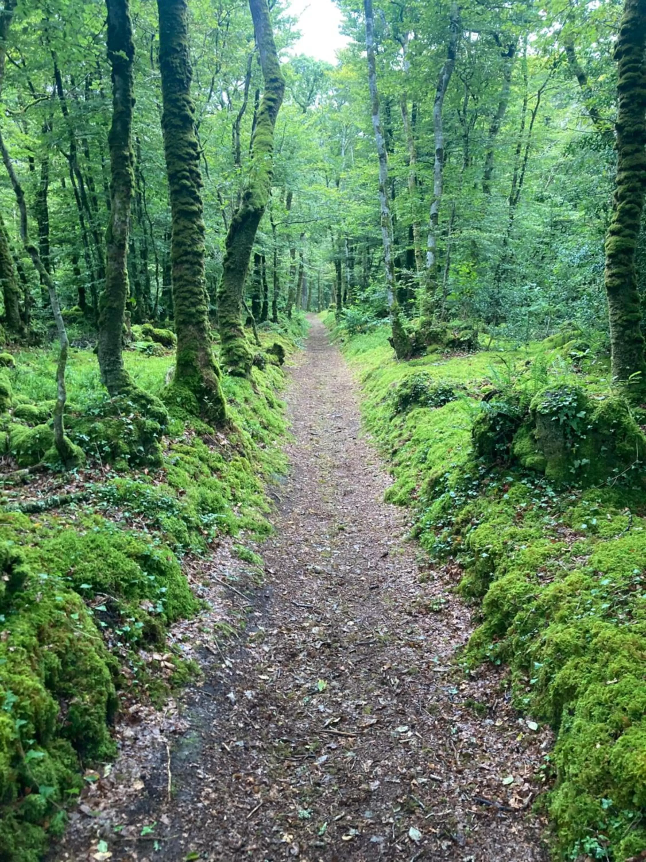 Natural landscape in Chambre privée-Kermoal