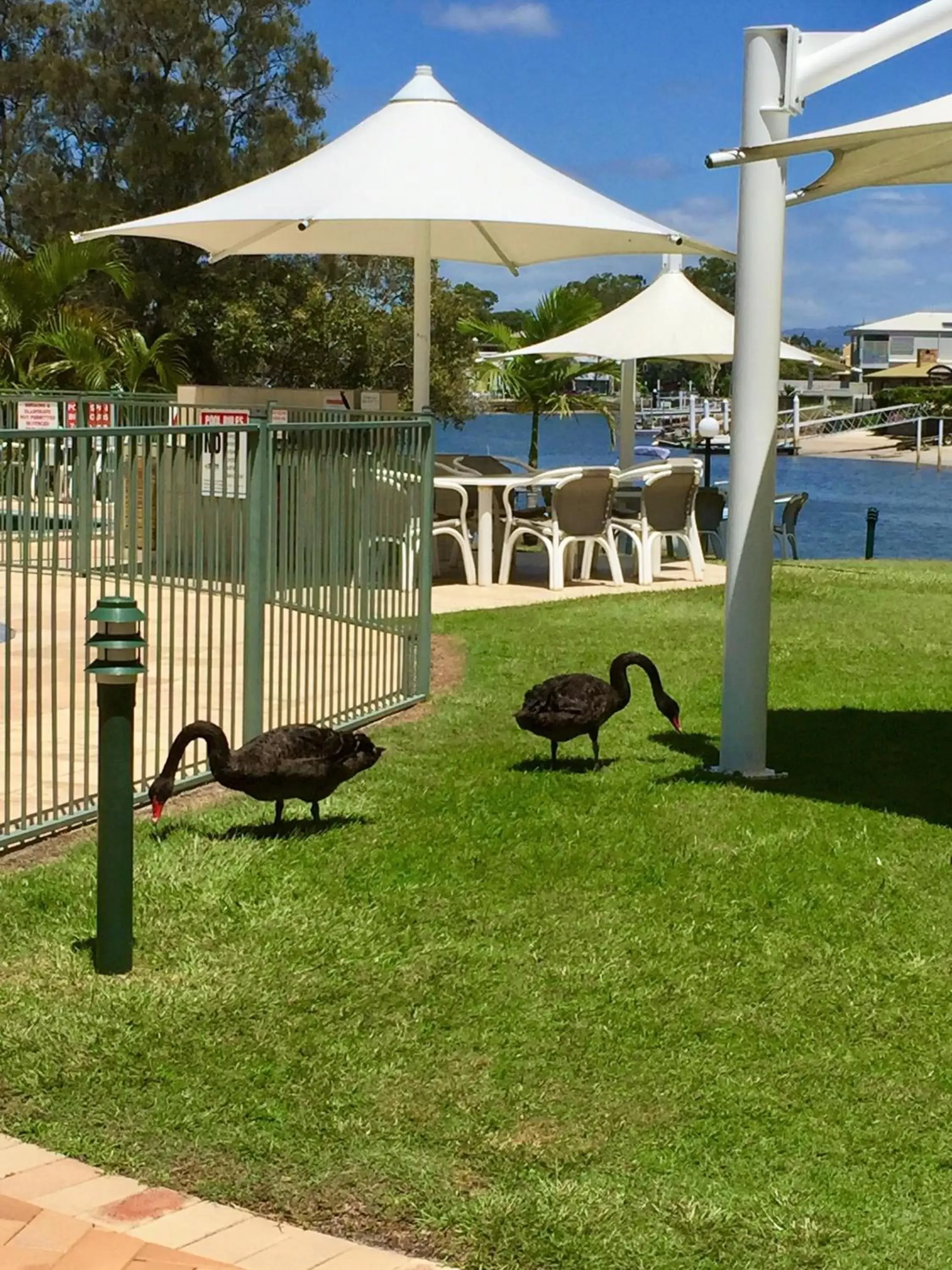 Garden view, Garden in Pelican Cove Apartments