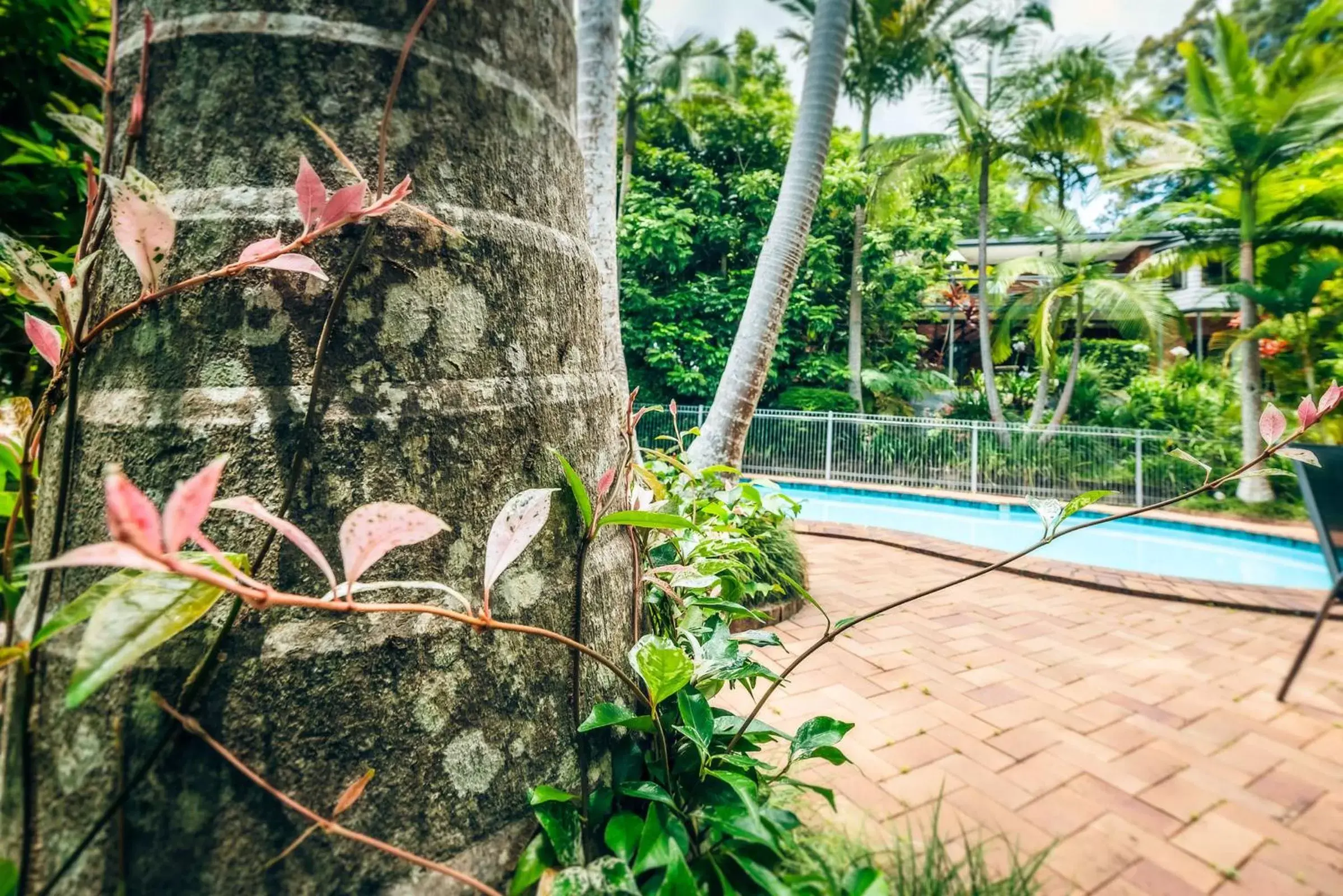 Day, Swimming Pool in Bella Vista Bellingen