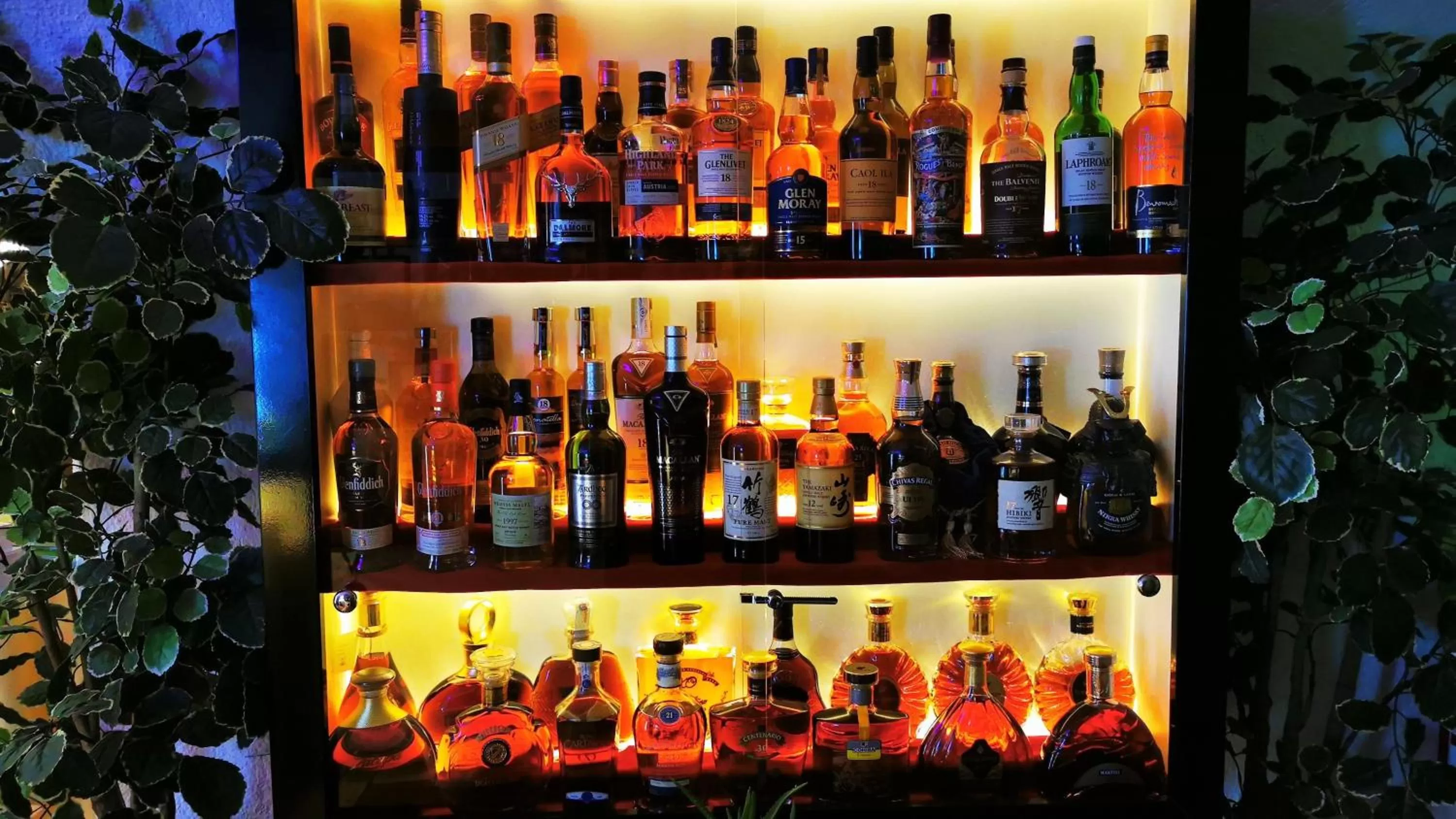 Lounge or bar in Gasthof Geronimo