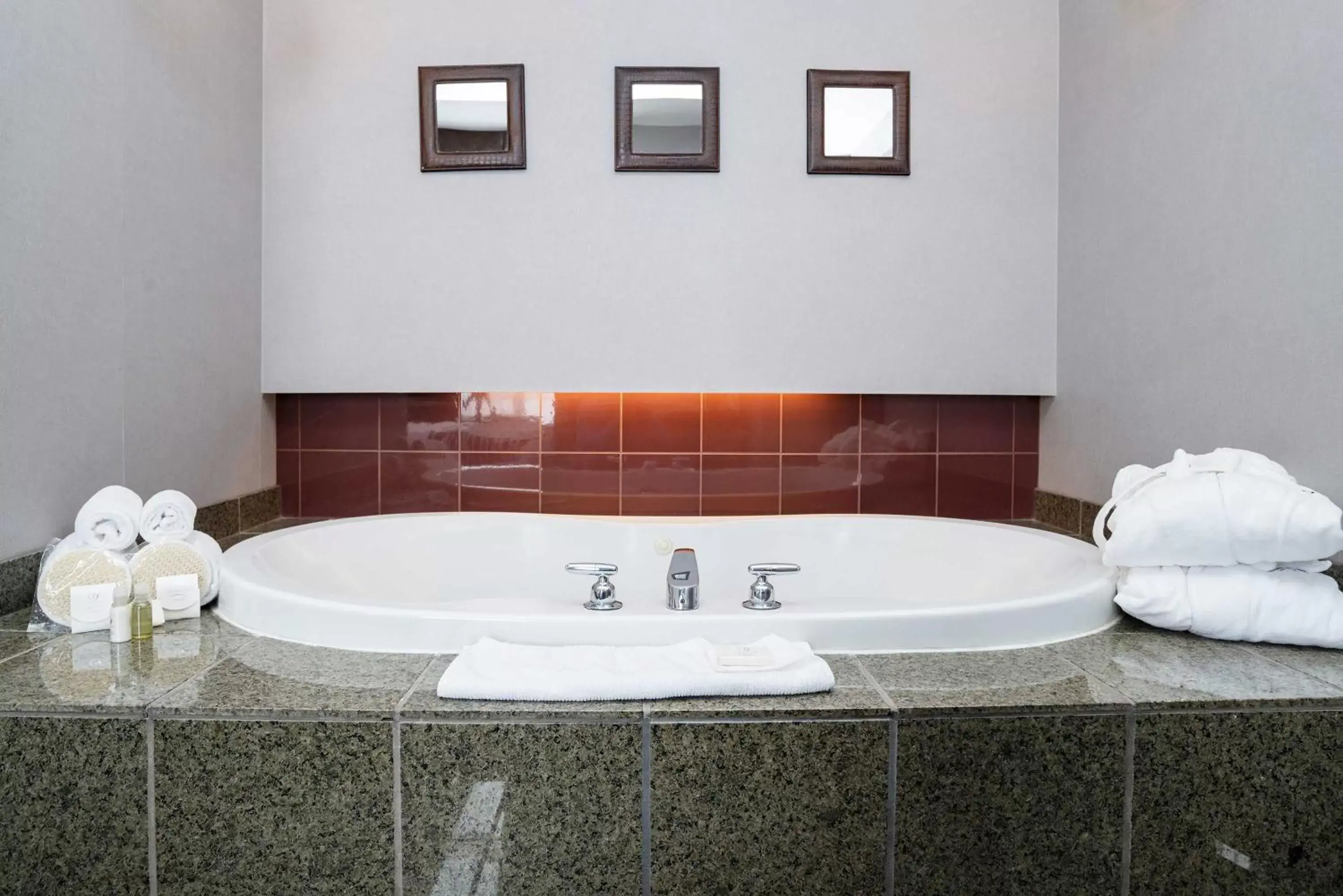 Photo of the whole room, Bathroom in Sandman Hotel & Suites Calgary West