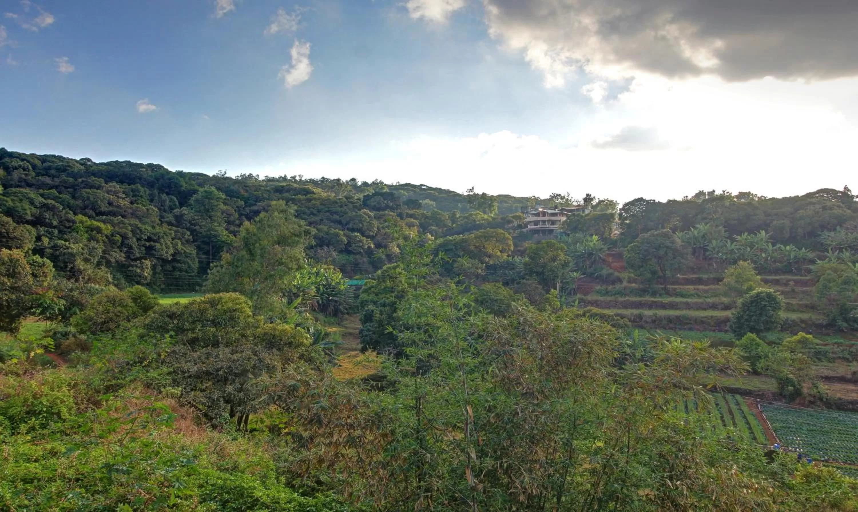 Treebo Trend Raaya Regency