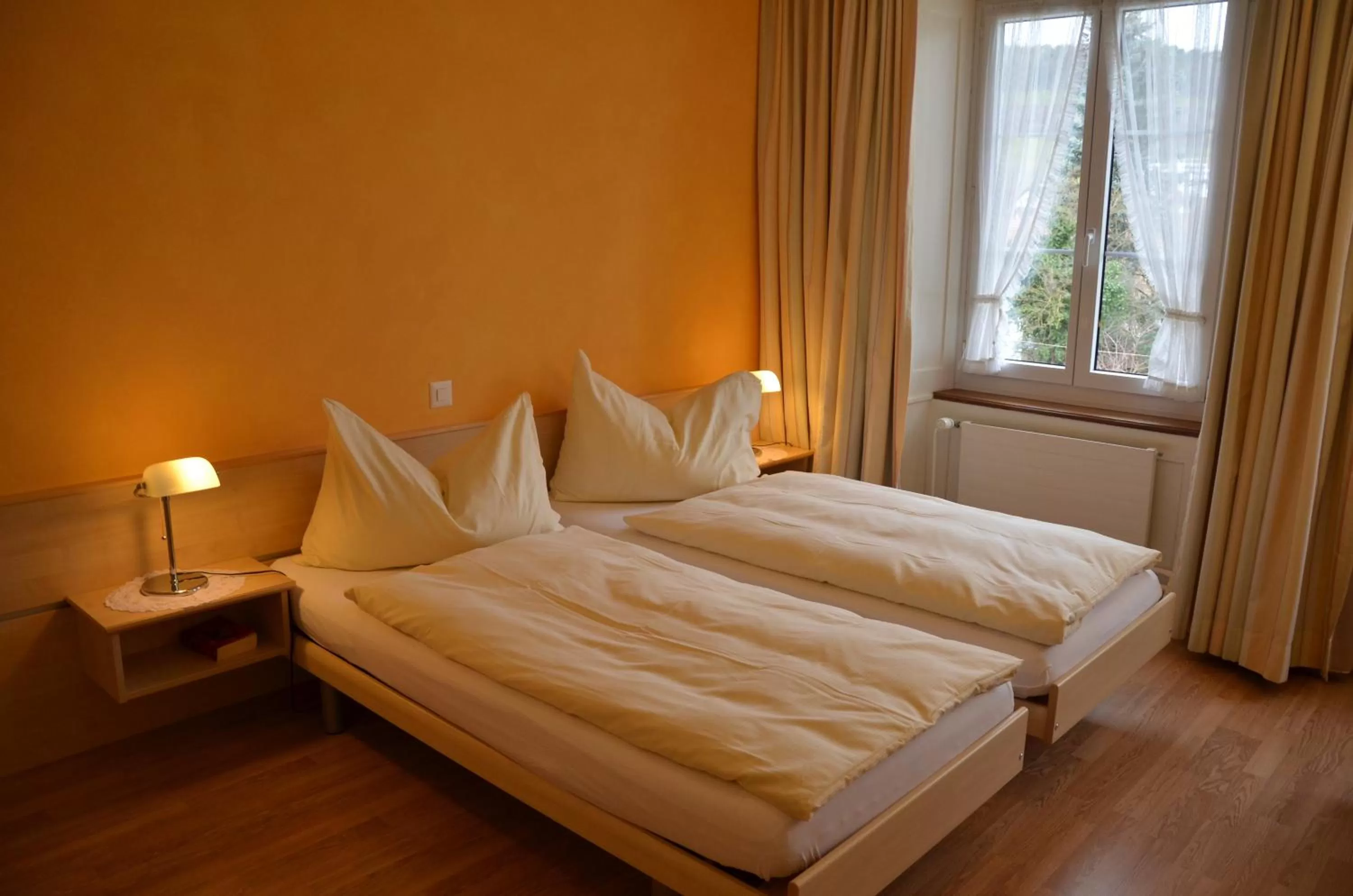 Double Room in Gasthaus zum Löwen