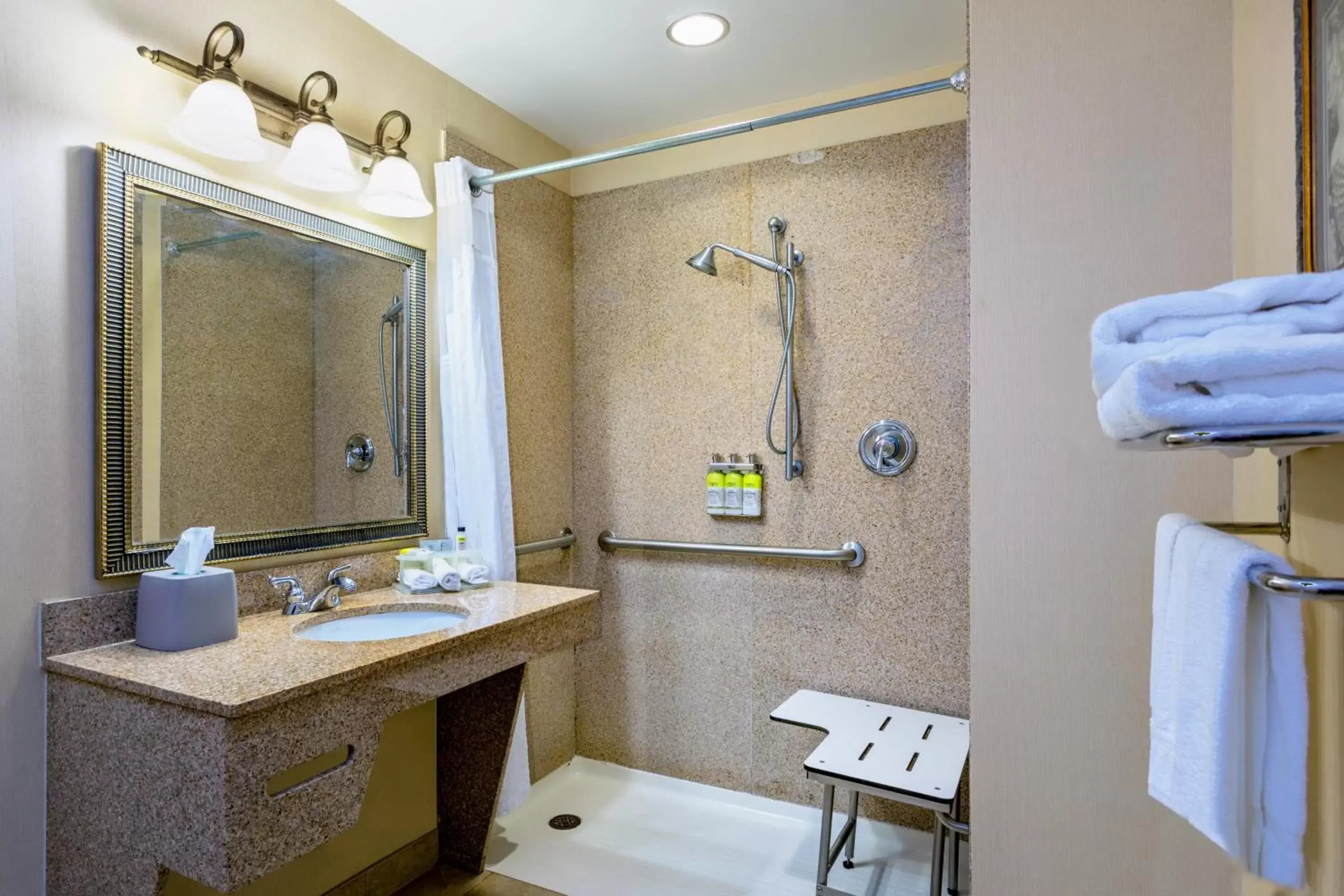 Bathroom in Holiday Inn Express & Suites Bradenton East-Lakewood Ranch, an IHG Hotel