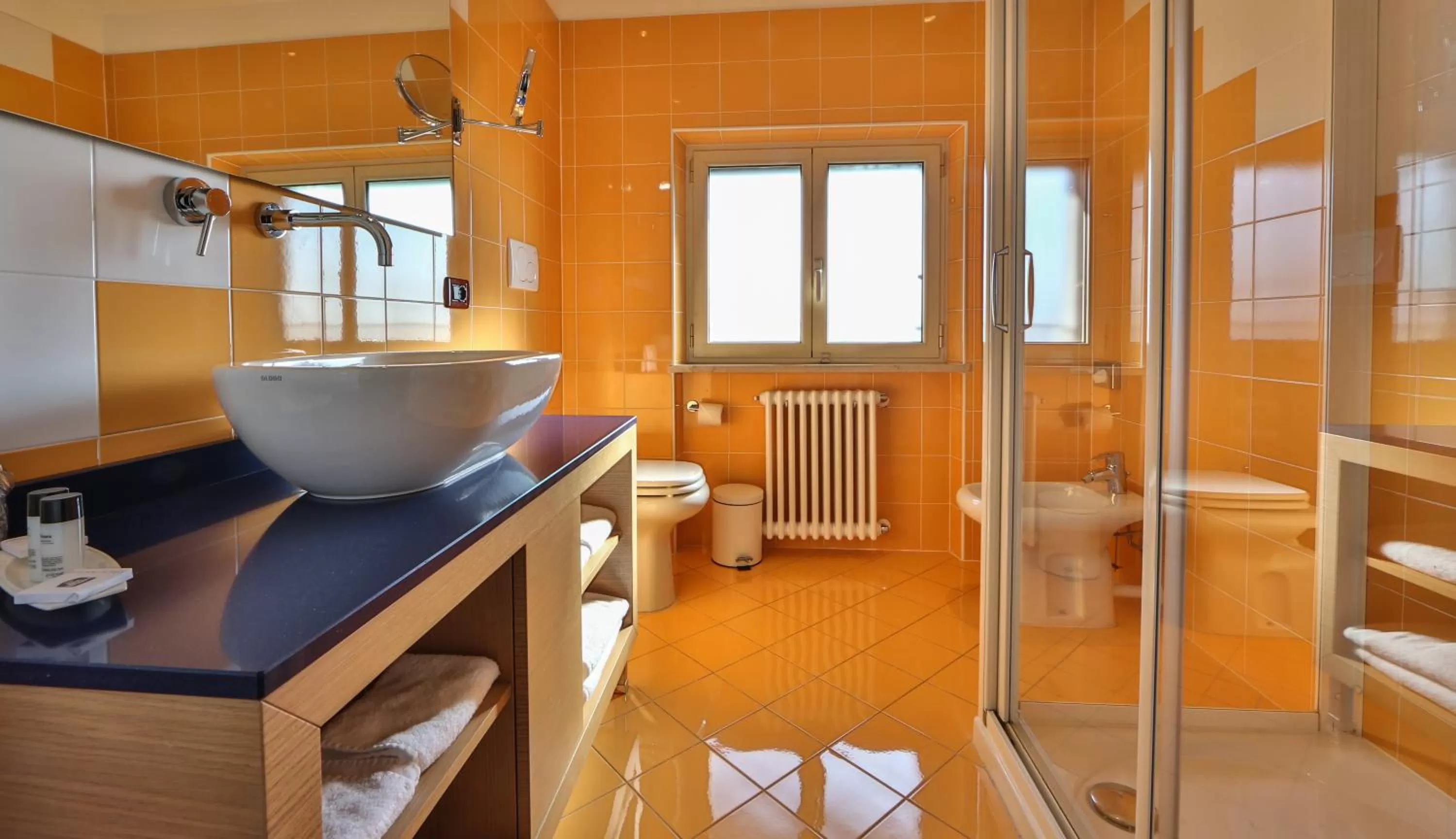 Shower in Best Western Hotel Piemontese