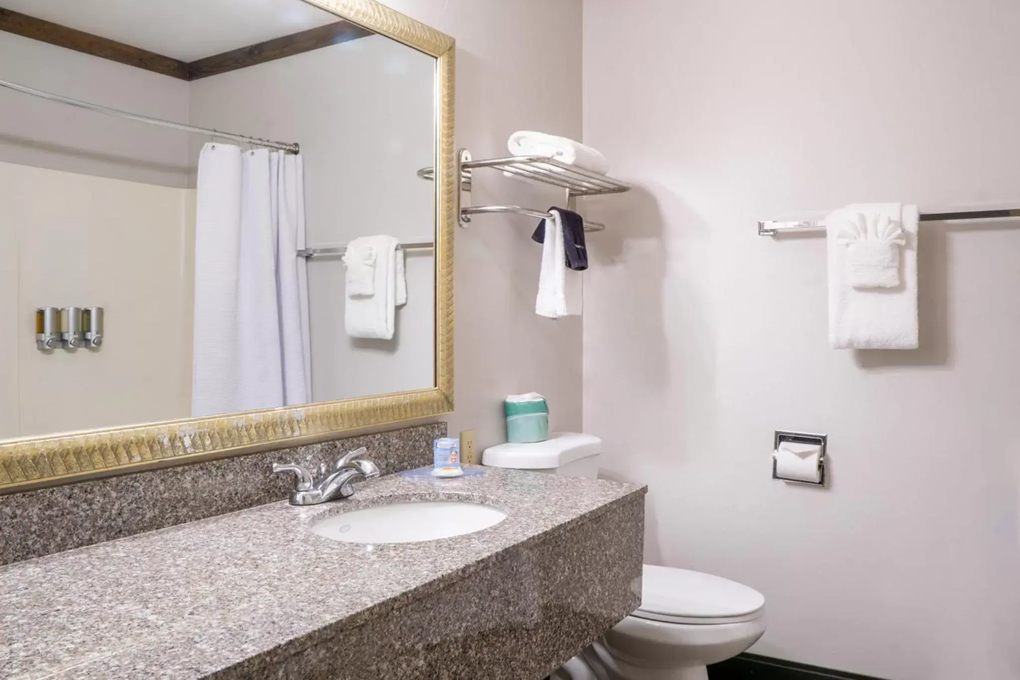 Shower, Bathroom in The Dalles Inn