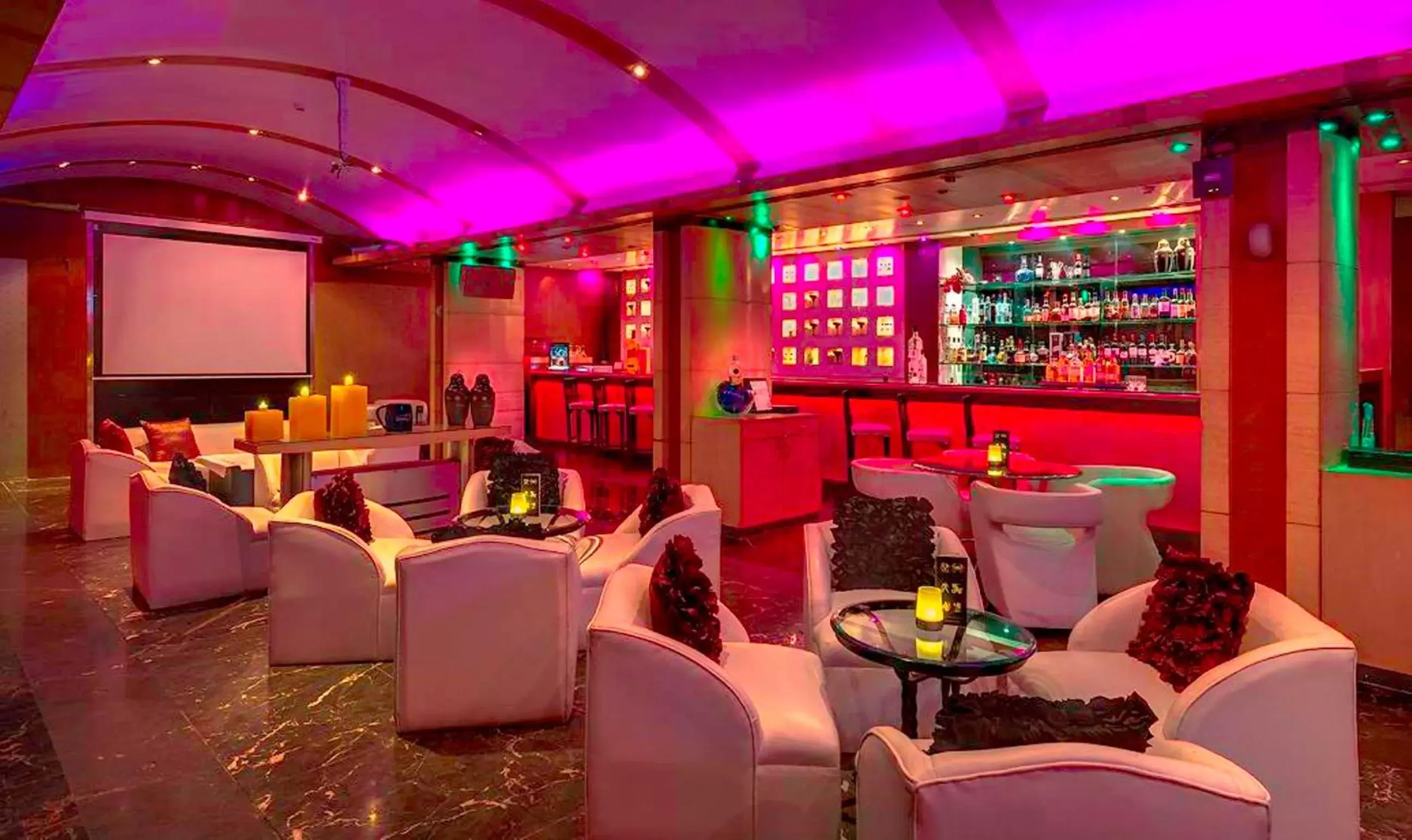 Lounge or bar in Hotel Hindustan International