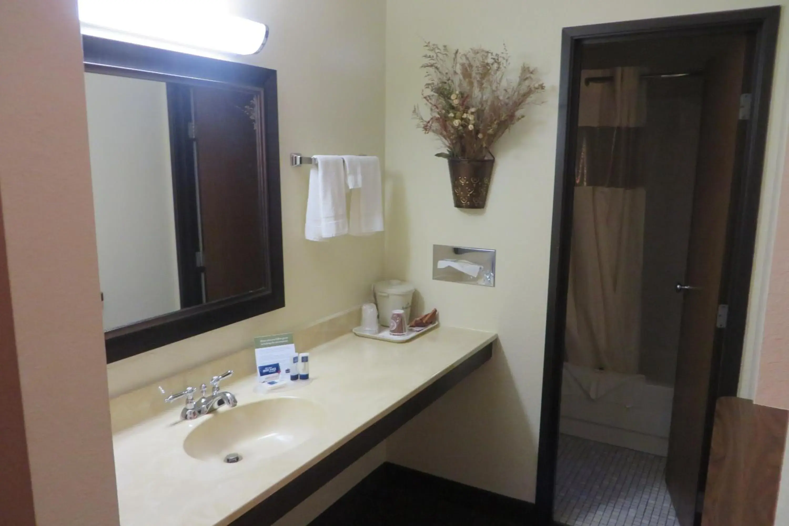 Bathroom in AmericInn by Wyndham Forest Lake