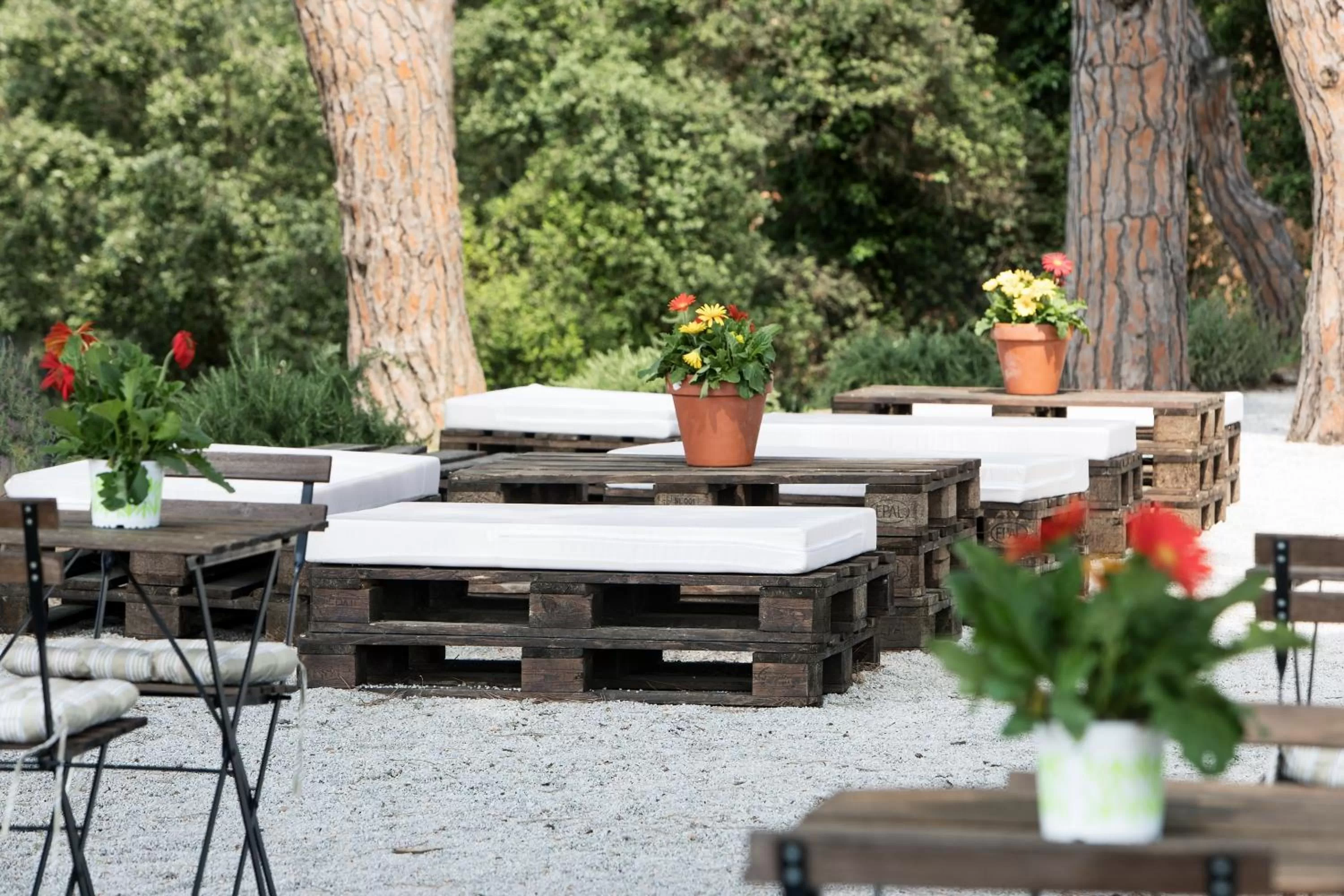 Area and facilities in Augusta Barcelona Vallès