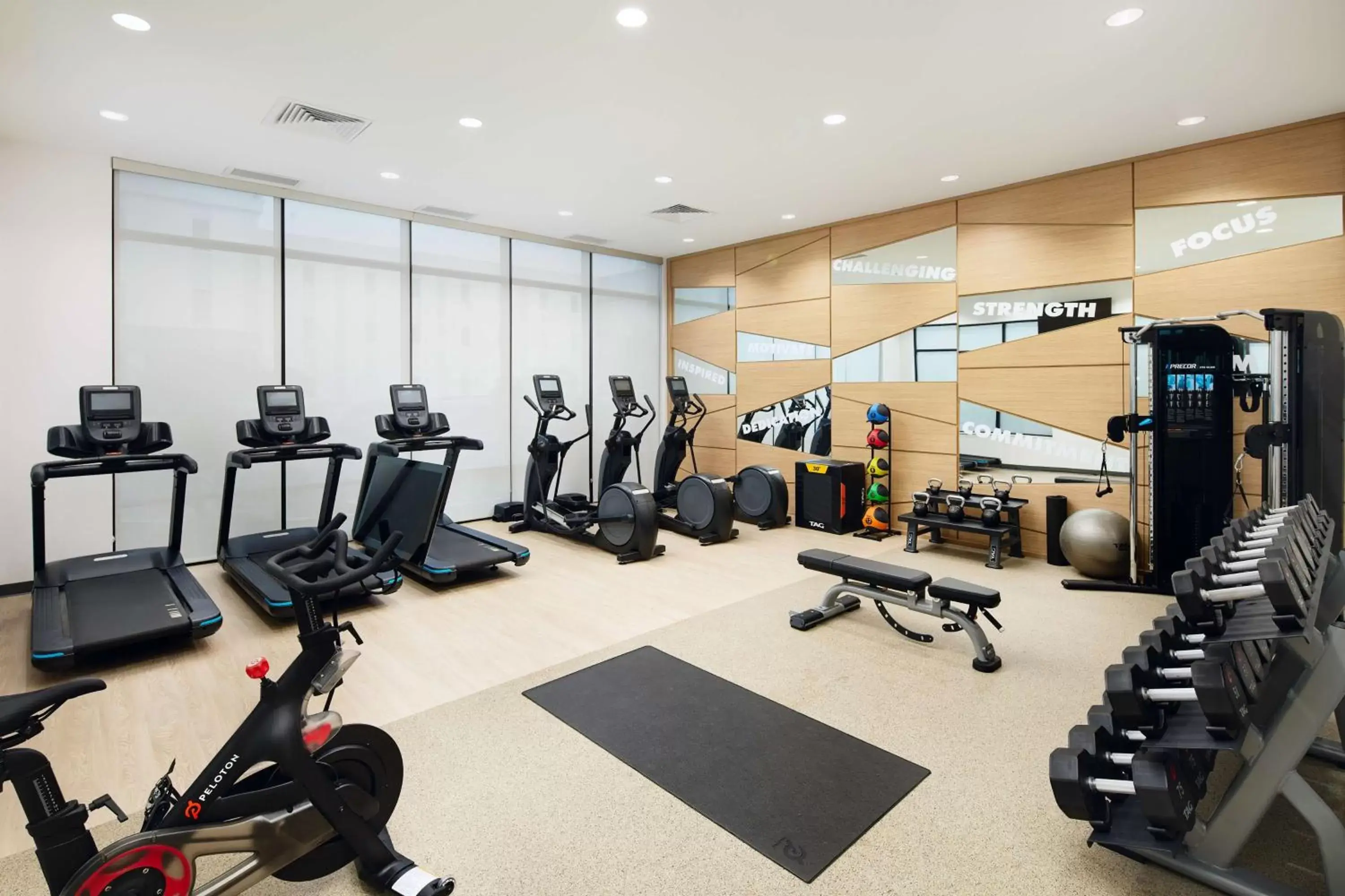 Fitness centre/facilities, Fitness Center/Facilities in Embassy Suites By Hilton Atlanta Airport North