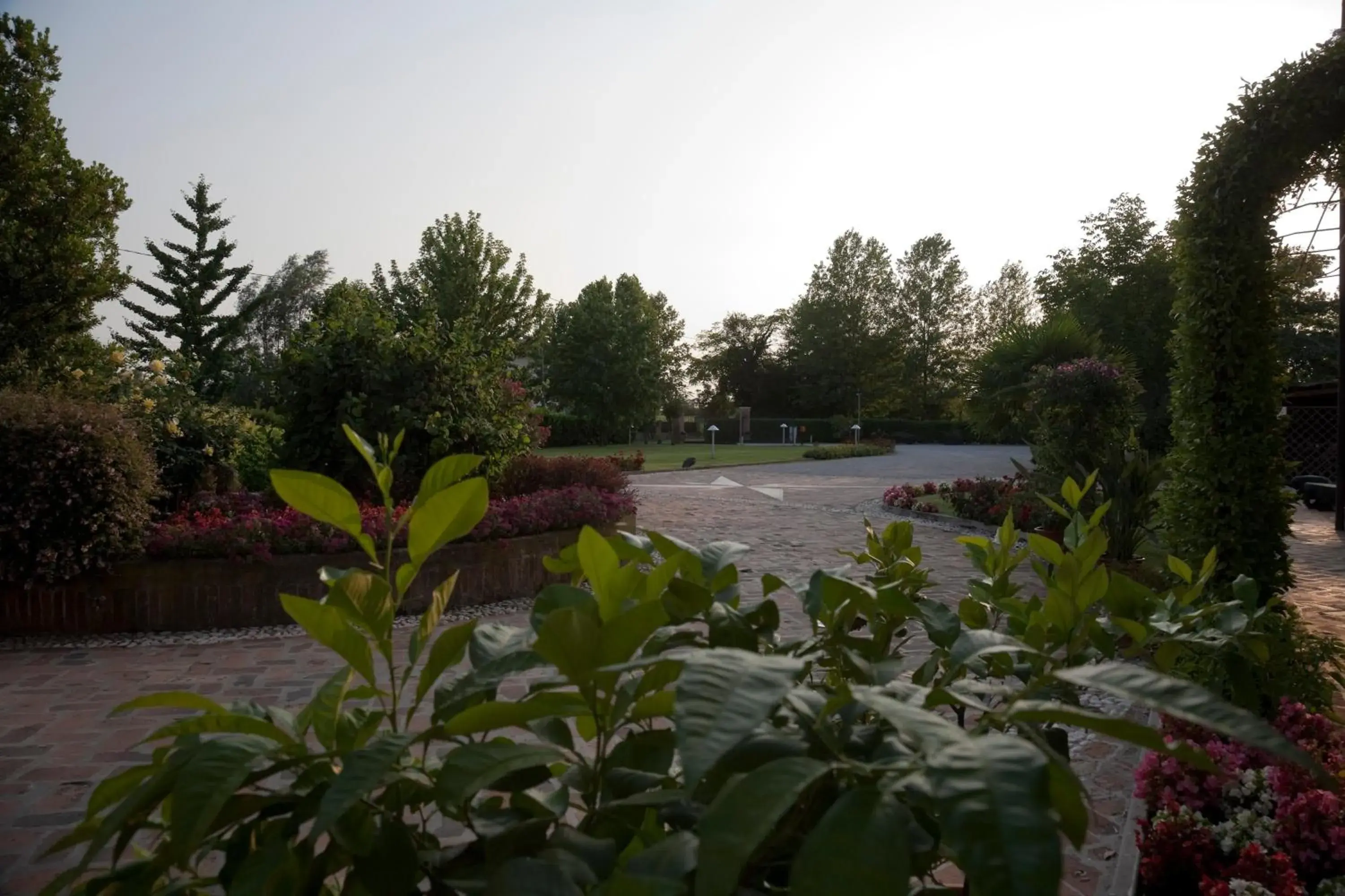 Garden in Relais Leon d'Oro