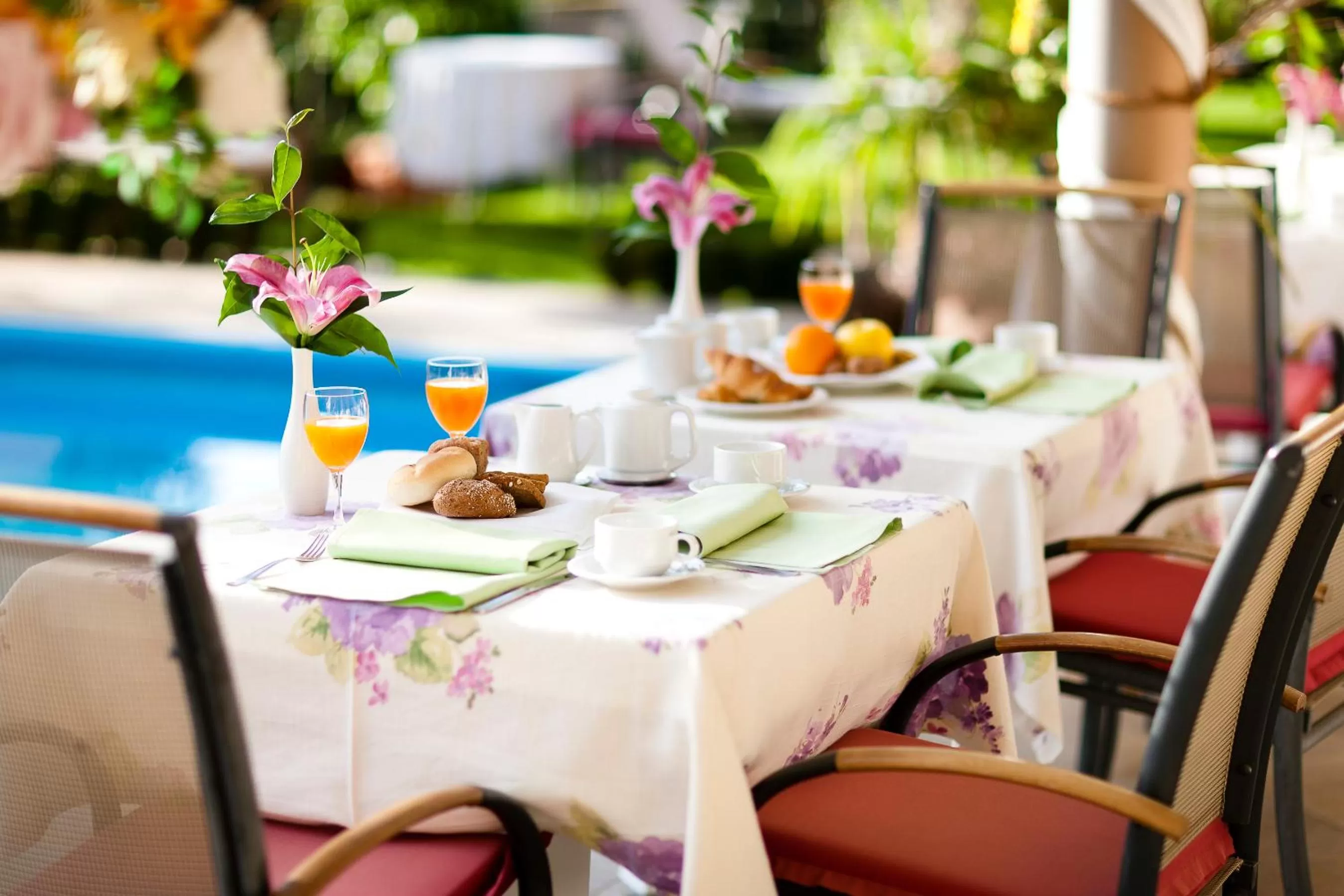 Restaurant/places to eat in Hotel Aster