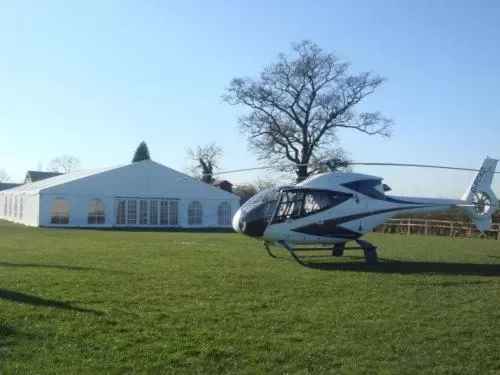 Garden in The Royal Arms Bed & Breakfast