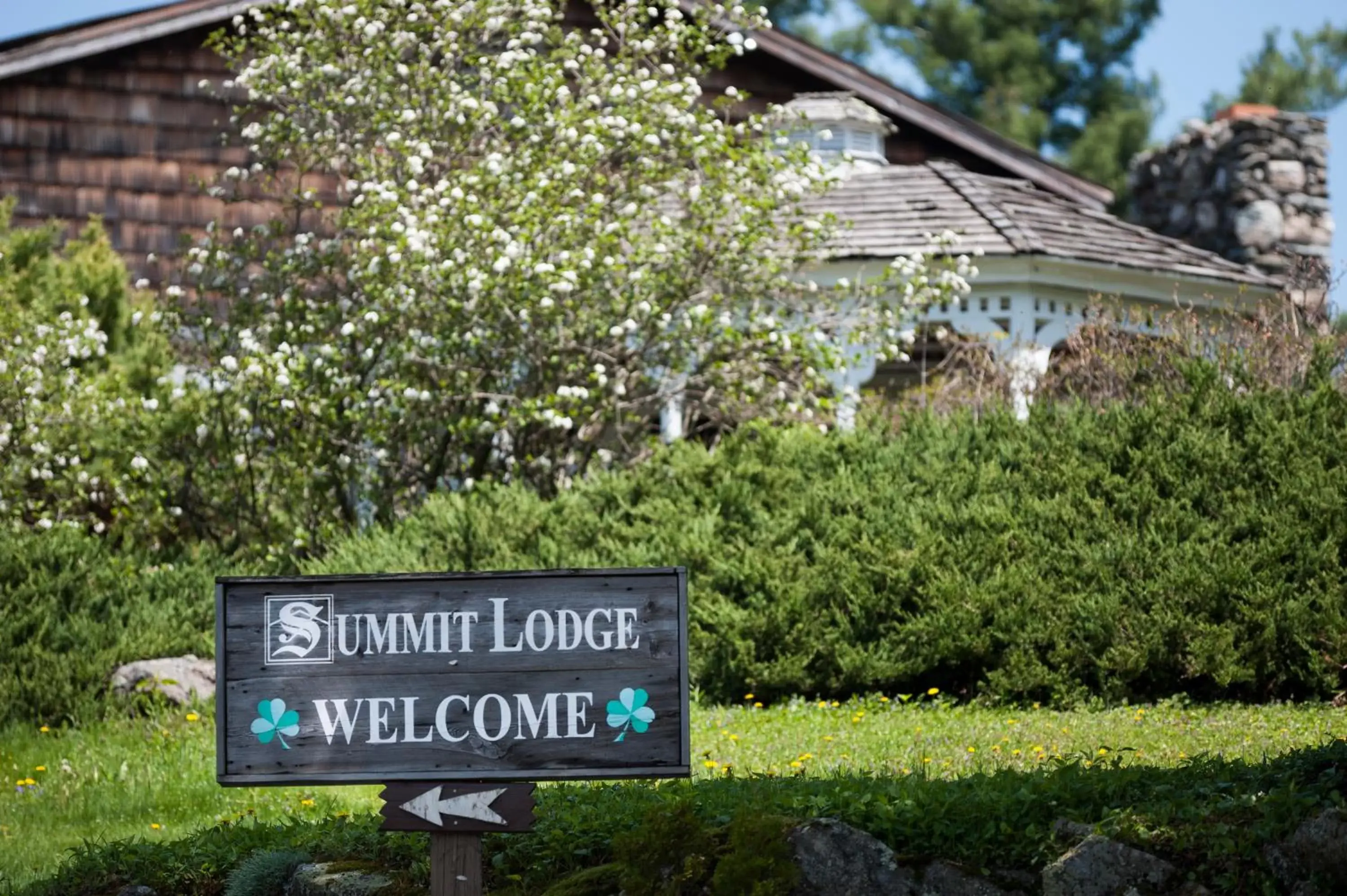 Garden, Property Building in Summit Lodge