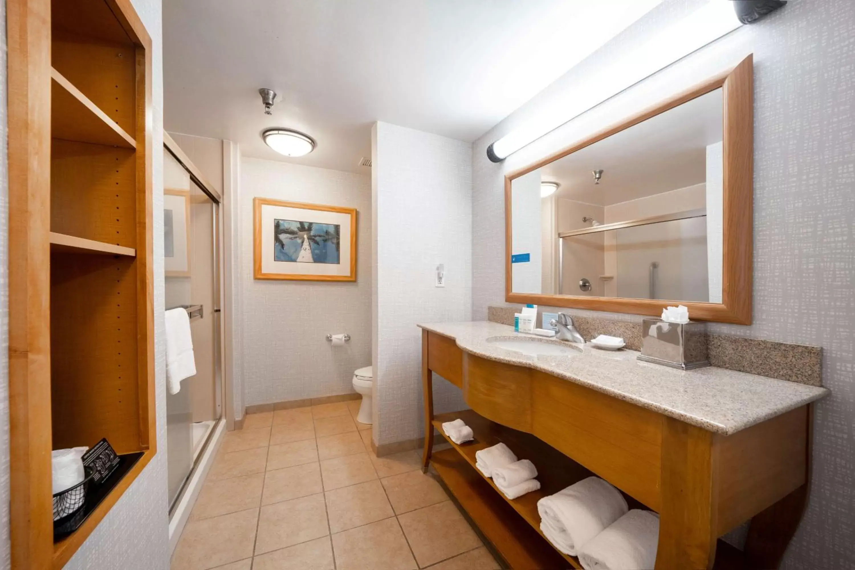 Bathroom in Hampton Inn & Suites Madera