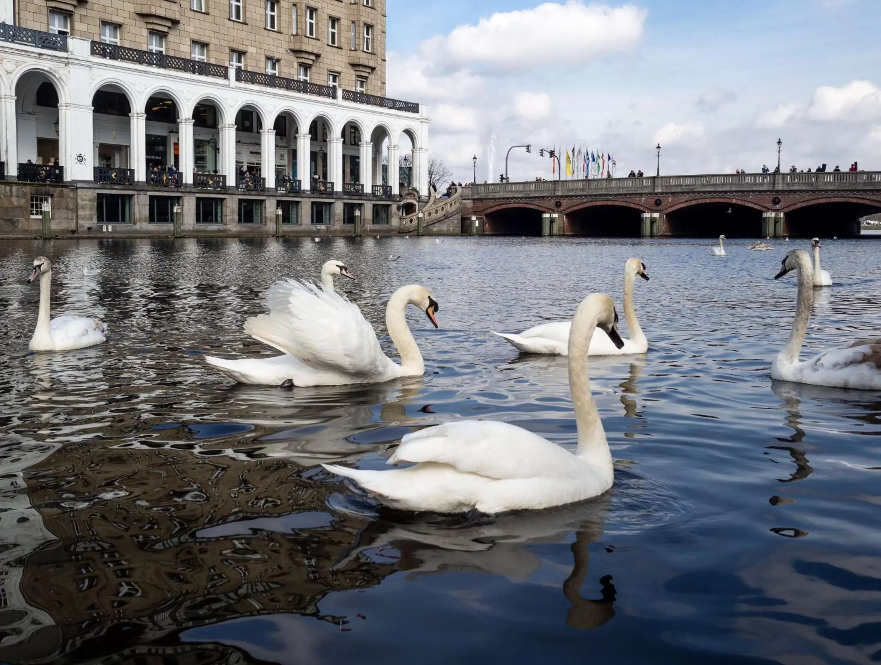 Nearby landmark, Other Animals in Best Western Hotel Hamburg International